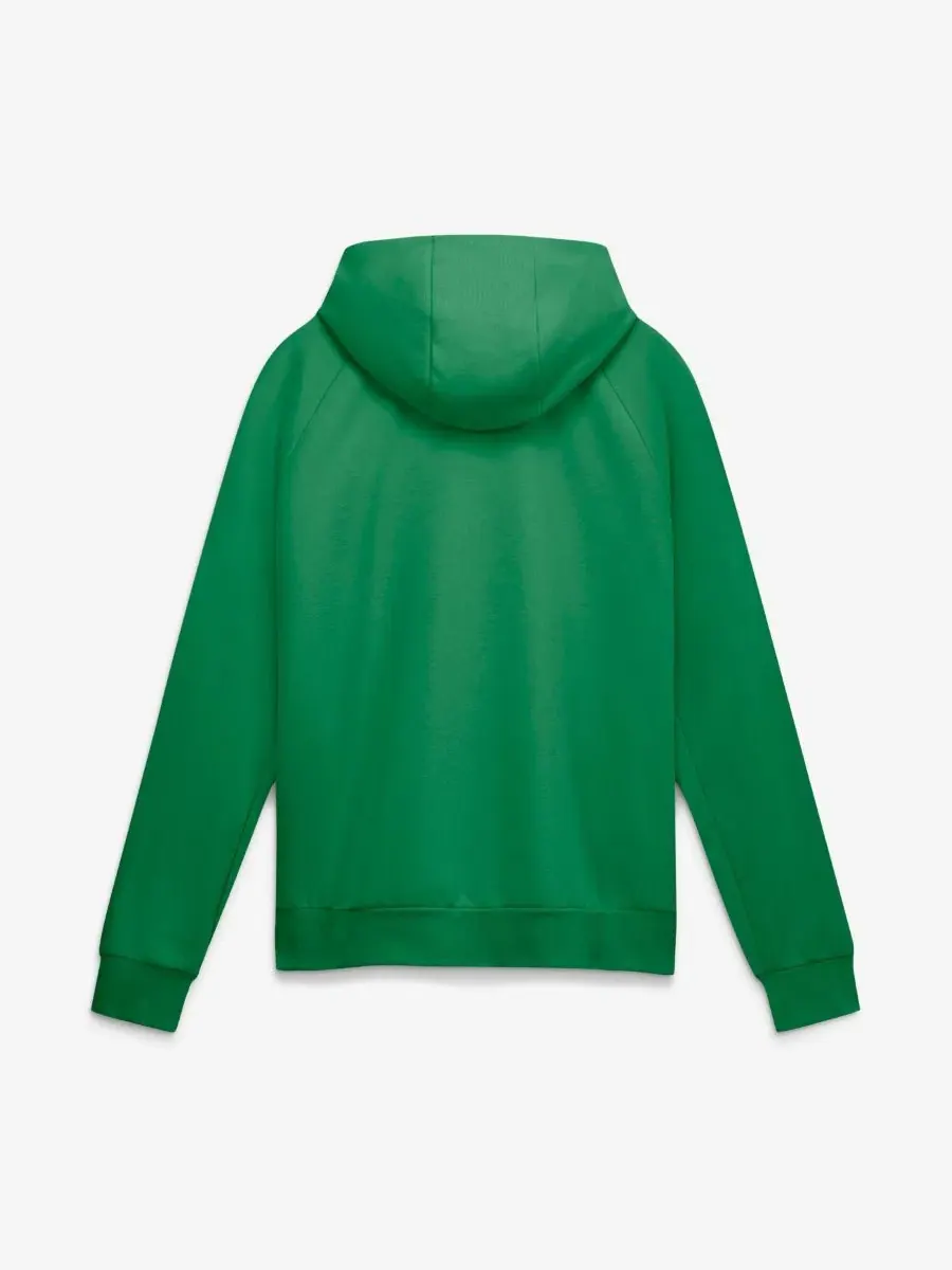 Худи с рагланом и длинным рукавом, Oregon Ducks Premium Performance Raglan Dri-FIT Nike — изображение 2 из 3, зеленый