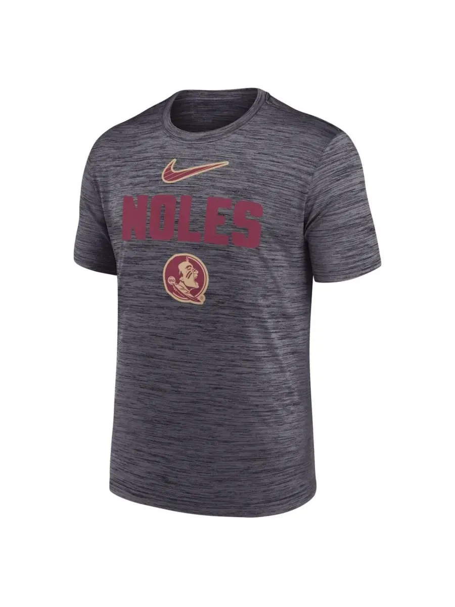 Nike Мужская черная футболка Florida State Seminoles Campus Slant Velocity Performance — изображение 3 из 3, черный