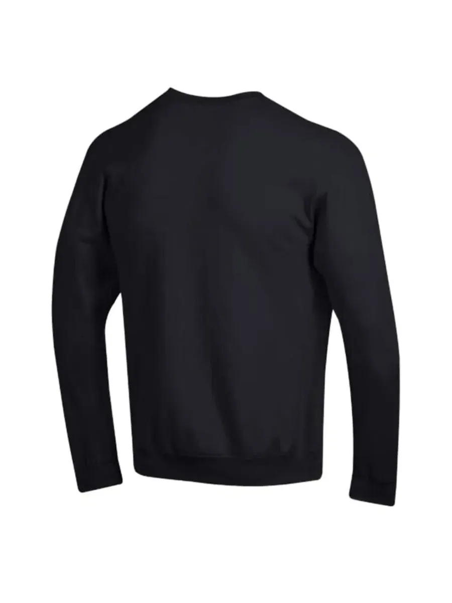 Свитшот с принтом Pittsburgh Steelers Powerblend Fleece Champion — изображение 2 из 3, черный