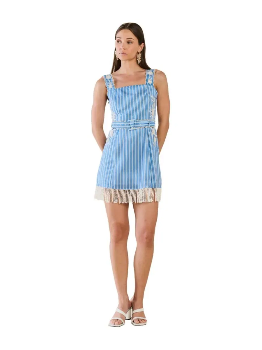 Платье мини с принтом Sarah Bird Mini Dress Eddy, Bluebell Beaded Stripe — изображение 1 из 3