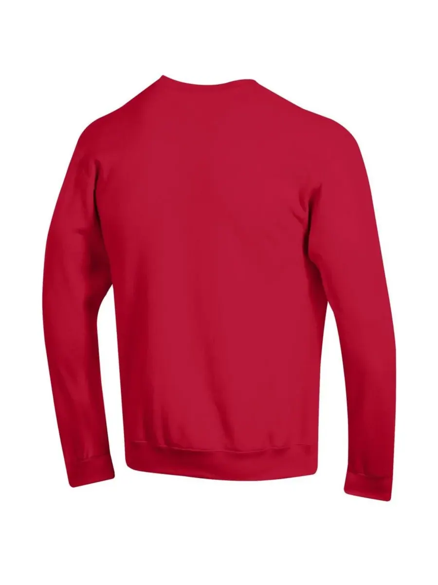 Champion Мужская красная флисовая толстовка Georgia Bulldogs Basic Arch — изображение 2 из 3, красный