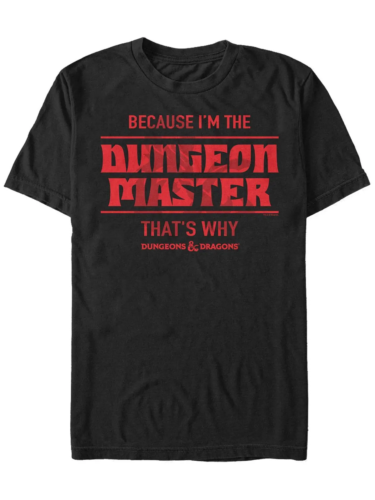 Мужская футболка с коротким рукавом dungeons and dragons i'm the dungeon master Fifth Sun — изображение 1 из 1, черный