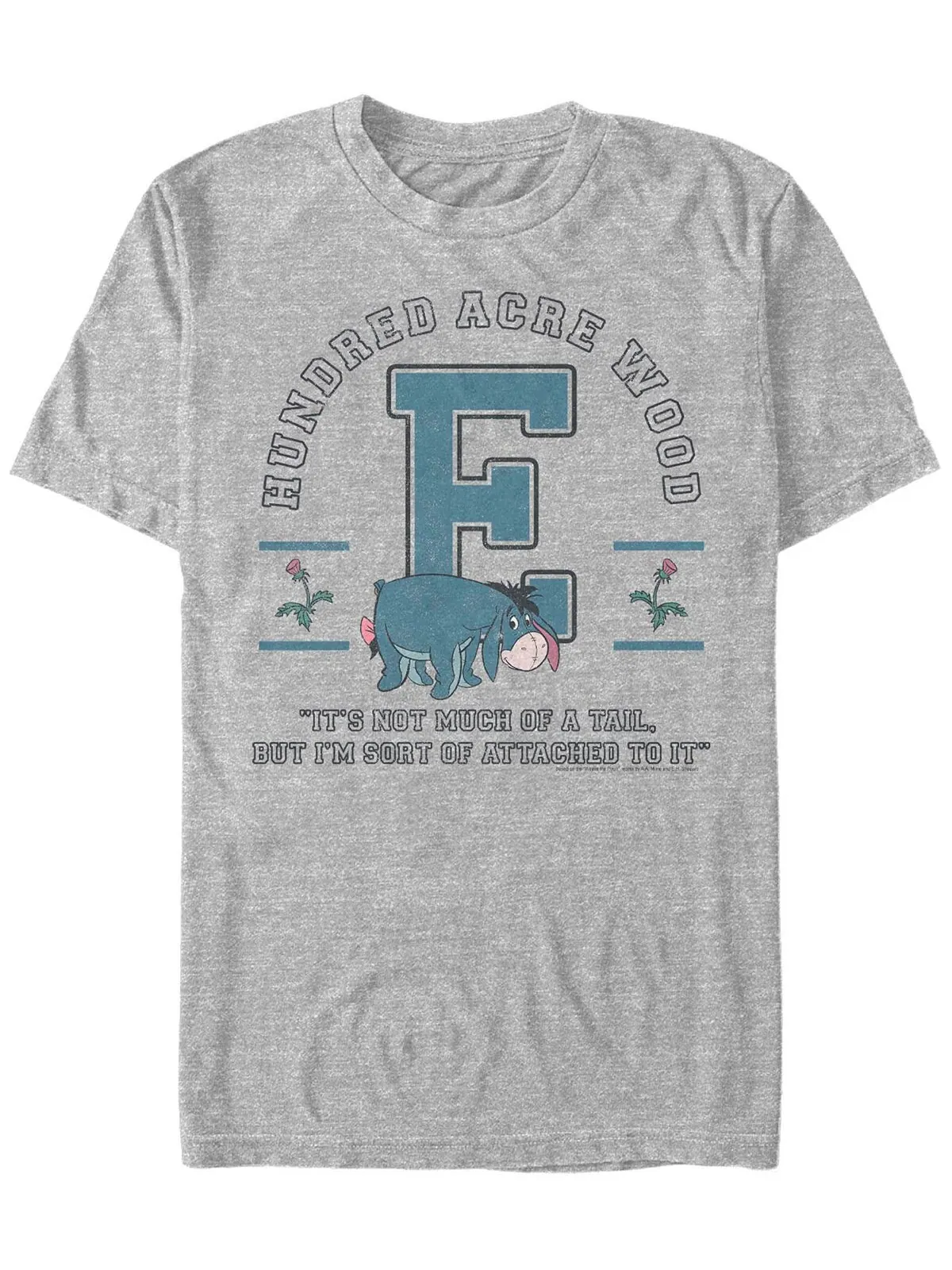 Мужская футболка с коротким рукавом eeyore collegiate Fifth Sun — изображение 1 из 1, серый