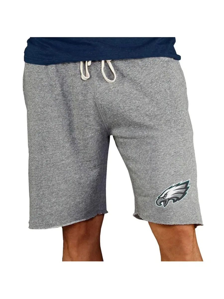 Мужские серые шорты из махровой ткани с символикой команды Philadelphia Eagles Concepts Sport — изображение 1 из 1, серый