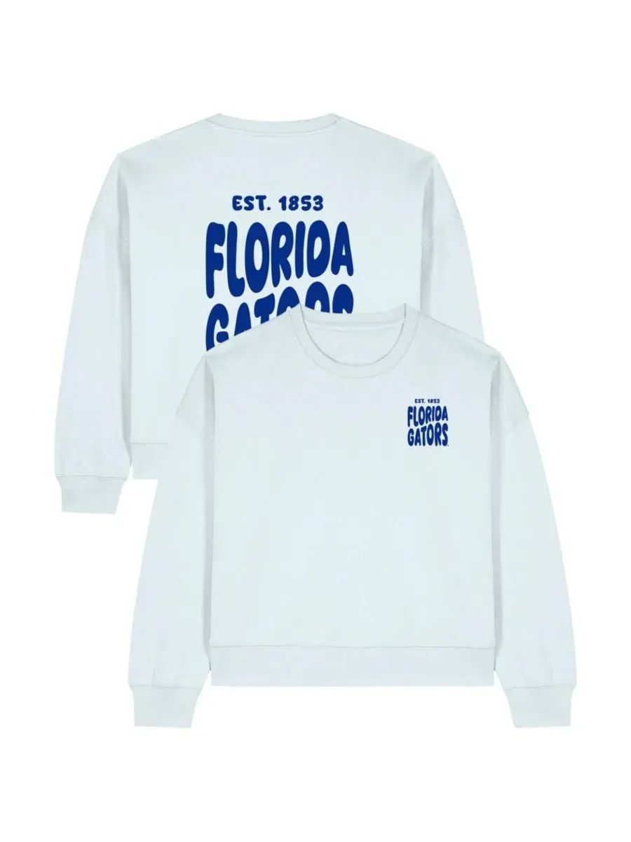 Женский свитшот с флисовой подкладкой и принтом Florida Gators Cloud Uscape Apparel — изображение 1 из 3, светлый синий