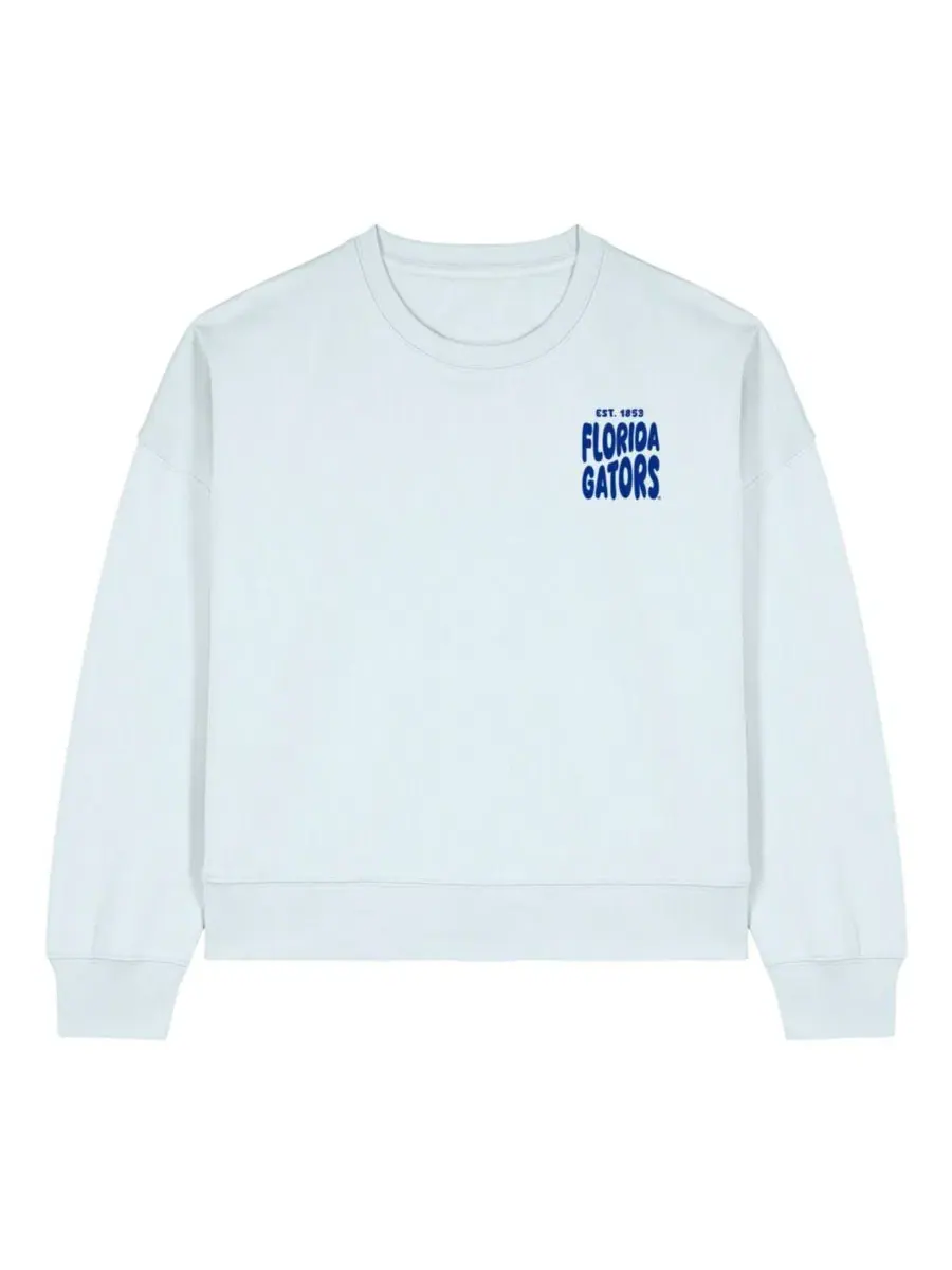 Женский свитшот с флисовой подкладкой и принтом Florida Gators Cloud Uscape Apparel — изображение 2 из 3, светлый синий