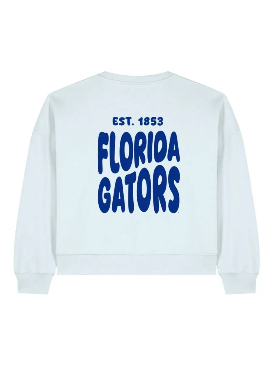 Женский свитшот с флисовой подкладкой и принтом Florida Gators Cloud Uscape Apparel — изображение 3 из 3, светлый синий