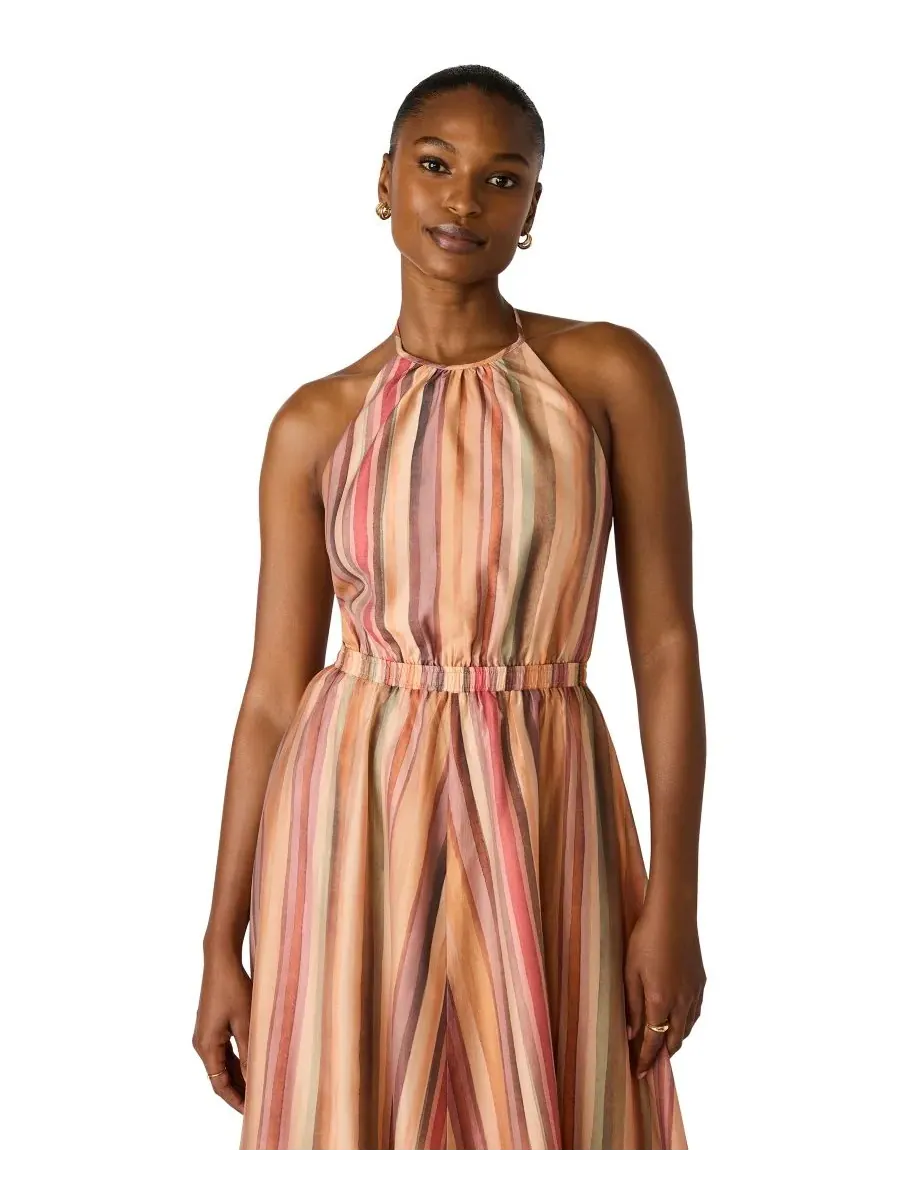 Женское платье Dalina с воротником-халтером и без рукавов BB Dakota, Painted Stripe — изображение 4 из 10