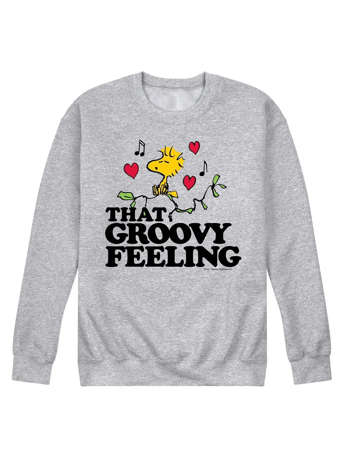 Мужская флисовая толстовка peanuts that groovy feeling AIRWAVES — изображение 1 из 2, серый