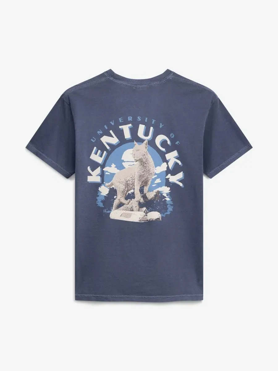 Футболка с принтом Kentucky Wildcats Comfort Colors Team Statue Image One — изображение 3 из 3, темно-синий