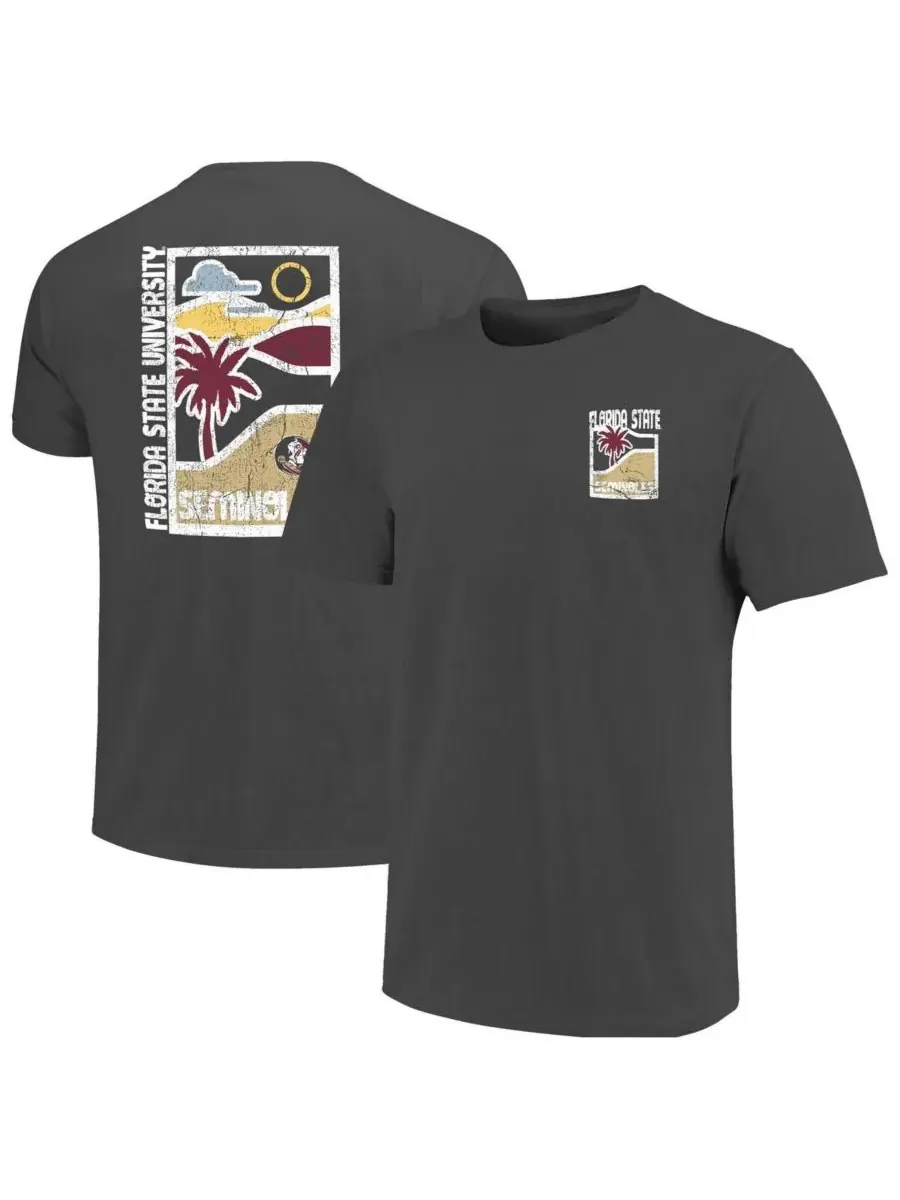 Image One Мужская футболка Florida State Seminoles Graphite Comfort Colors Minimal Vista Distressed — изображение 1 из 3