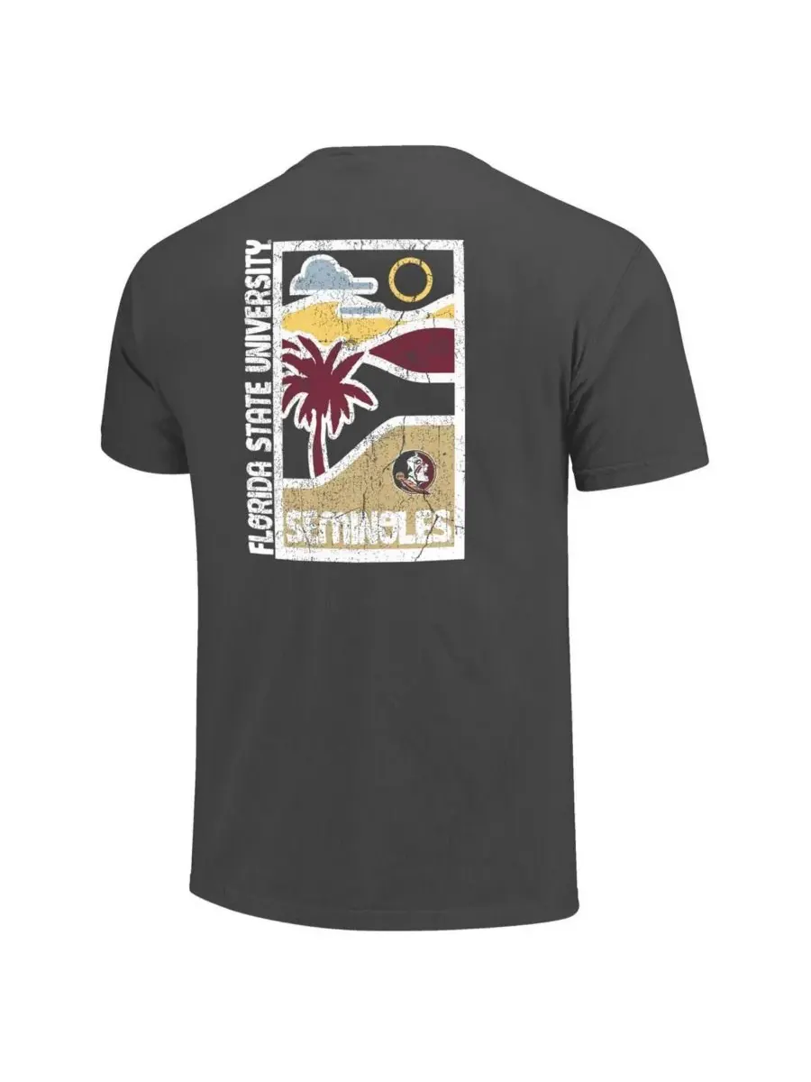 Image One Мужская футболка Florida State Seminoles Graphite Comfort Colors Minimal Vista Distressed — изображение 3 из 3