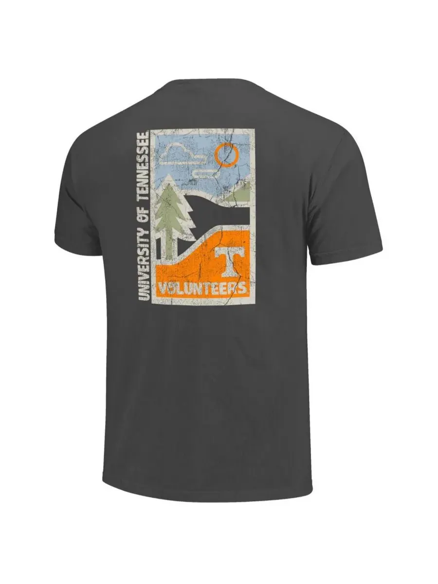 Image One Мужская футболка Tennessee Volunteers Comfort Colors Minimal Vista Distressed Graphics — изображение 3 из 3, серый