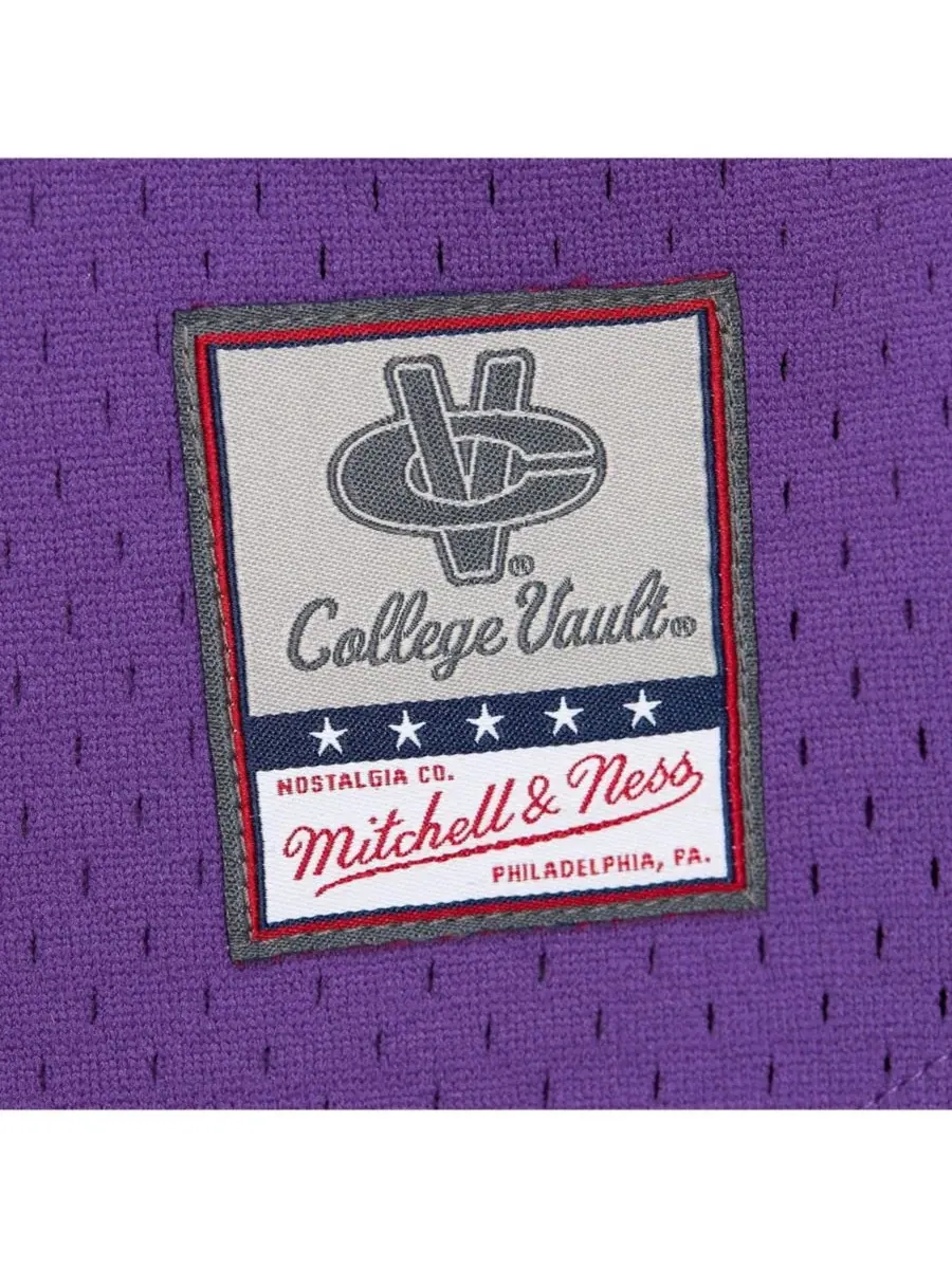 Mitchell & Ness Мужская фиолетовая футболка LSU Tigers Game Time Vintage из сетчатой ткани с — изображение 5 из 5, фиолетовый