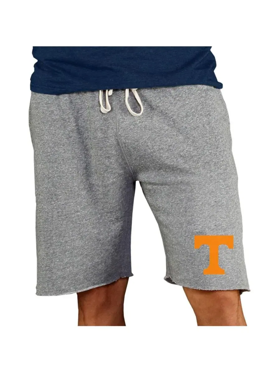 Мужские серые шорты Tennessee Volunteers Mainstream Terry Shorts Concepts Sport — изображение 1 из 1, серый