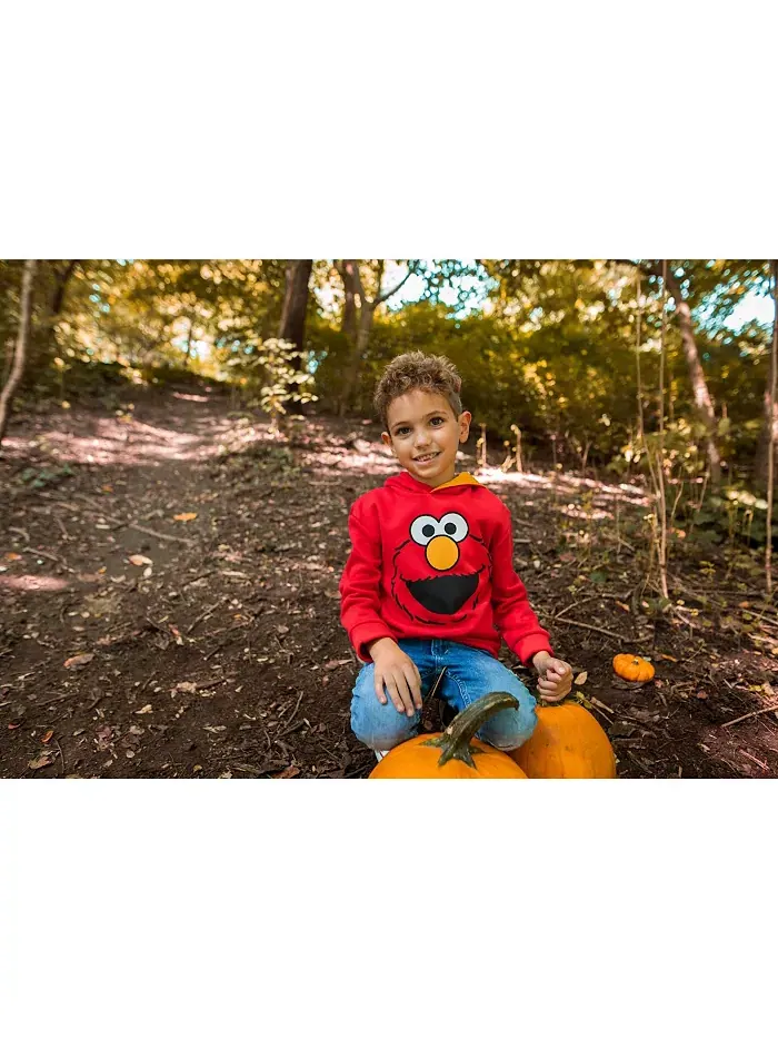 Детский флисовый худи с капюшоном для мальчиков Sesame Street — изображение 5 из 5