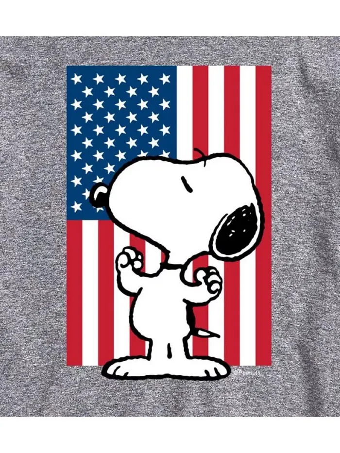 Футболка мужская с коротким рукавом Hybrid Apparel Peanuts Flag AIRWAVES — изображение 3 из 3