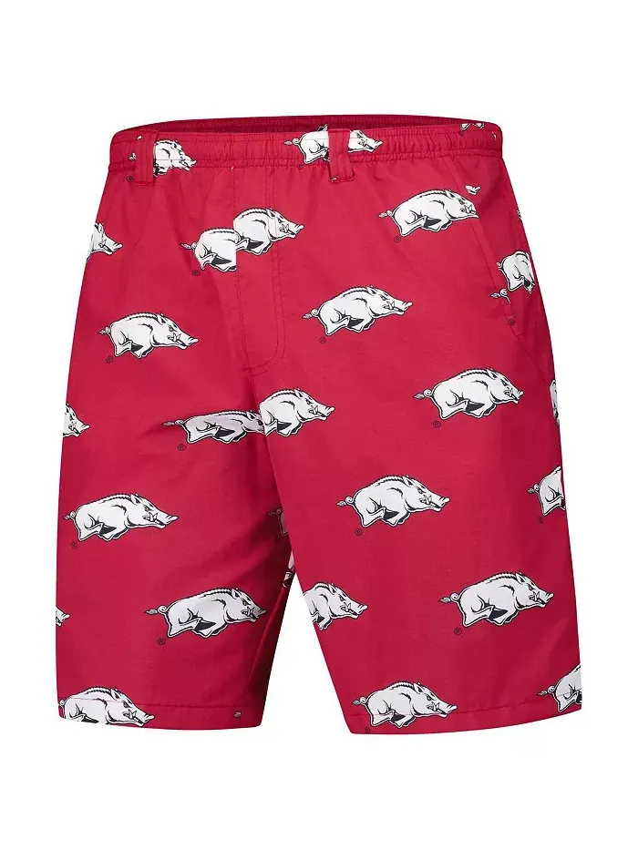 Мужские шорты Cardinal Arkansas Razorbacks PFG Backcast III Omni-Shade Columbia — изображение 2 из 3