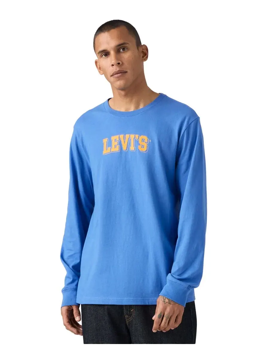 Мужская футболка с длинным рукавом и графическим принтом Levi's, Delft — изображение 1 из 4