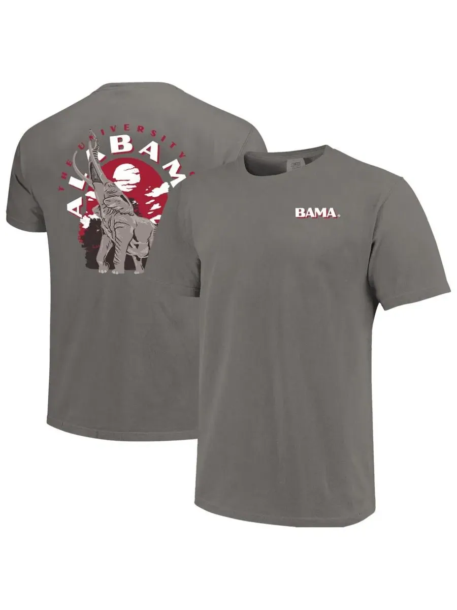 Футболка с принтом Team Statue Comfort Colors Alabama Crimson Tide Image One — изображение 1 из 3, серый