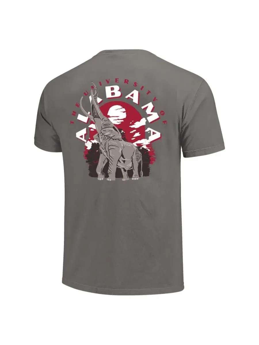 Футболка с принтом Team Statue Comfort Colors Alabama Crimson Tide Image One — изображение 2 из 3, серый