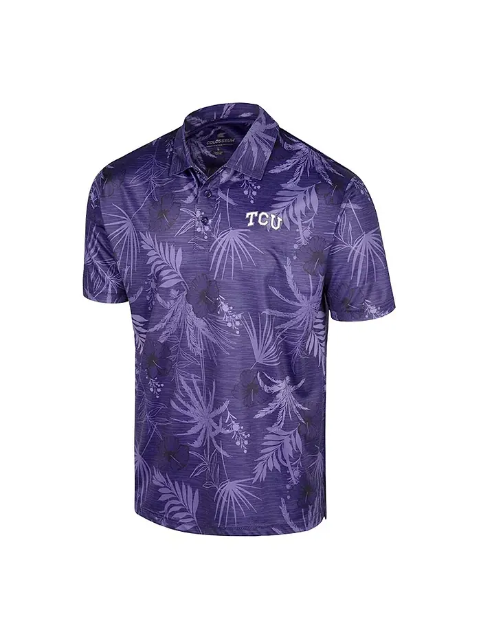 Мужская фиолетовая поло TCU Horned Frogs Palms Team Colosseum — изображение 2 из 3