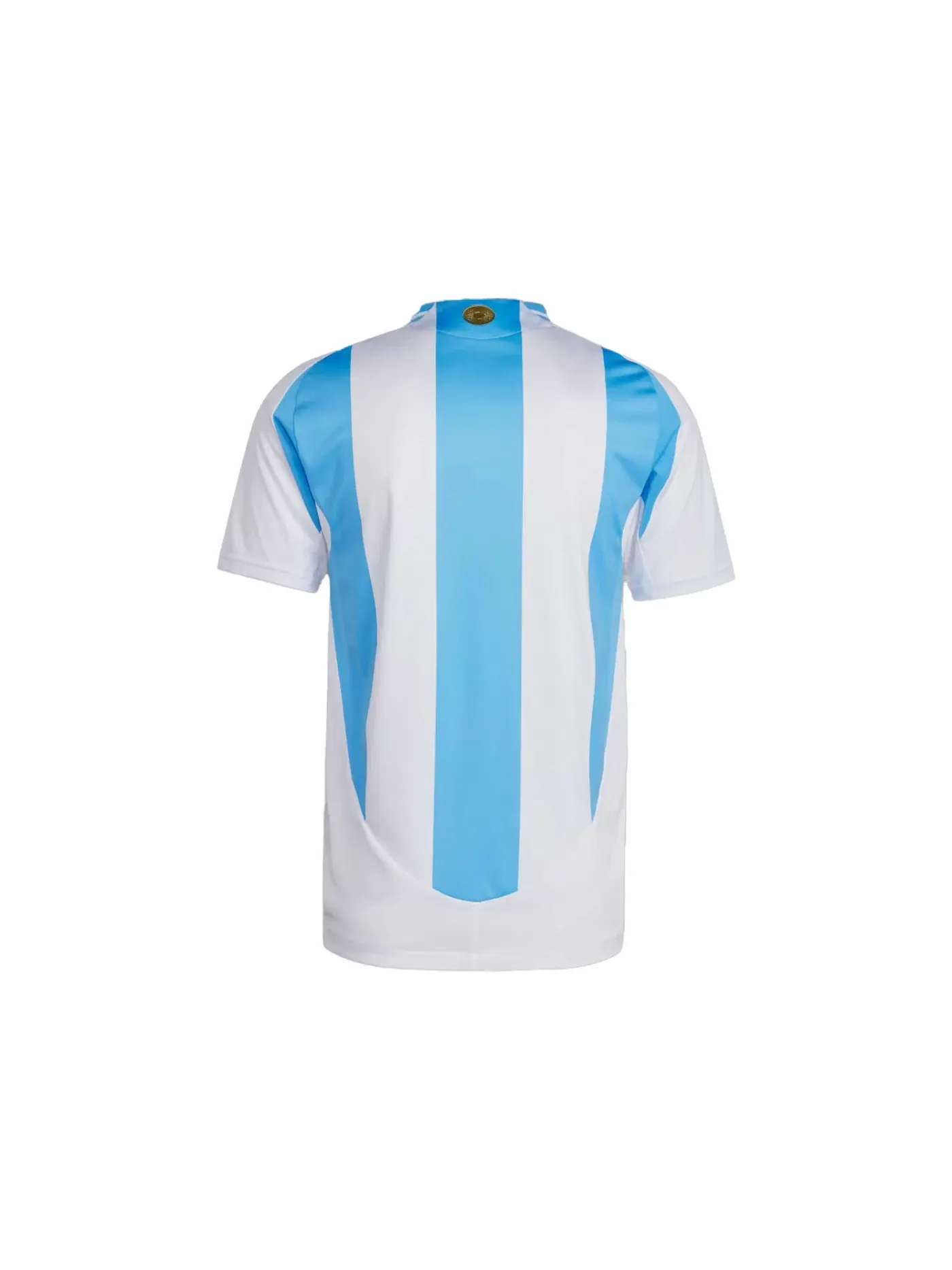 Мужская футбольная джерси с принтом Adidas Argentina 2024 Home Authentic Jersey — изображение 2 из 2, белый/синий
