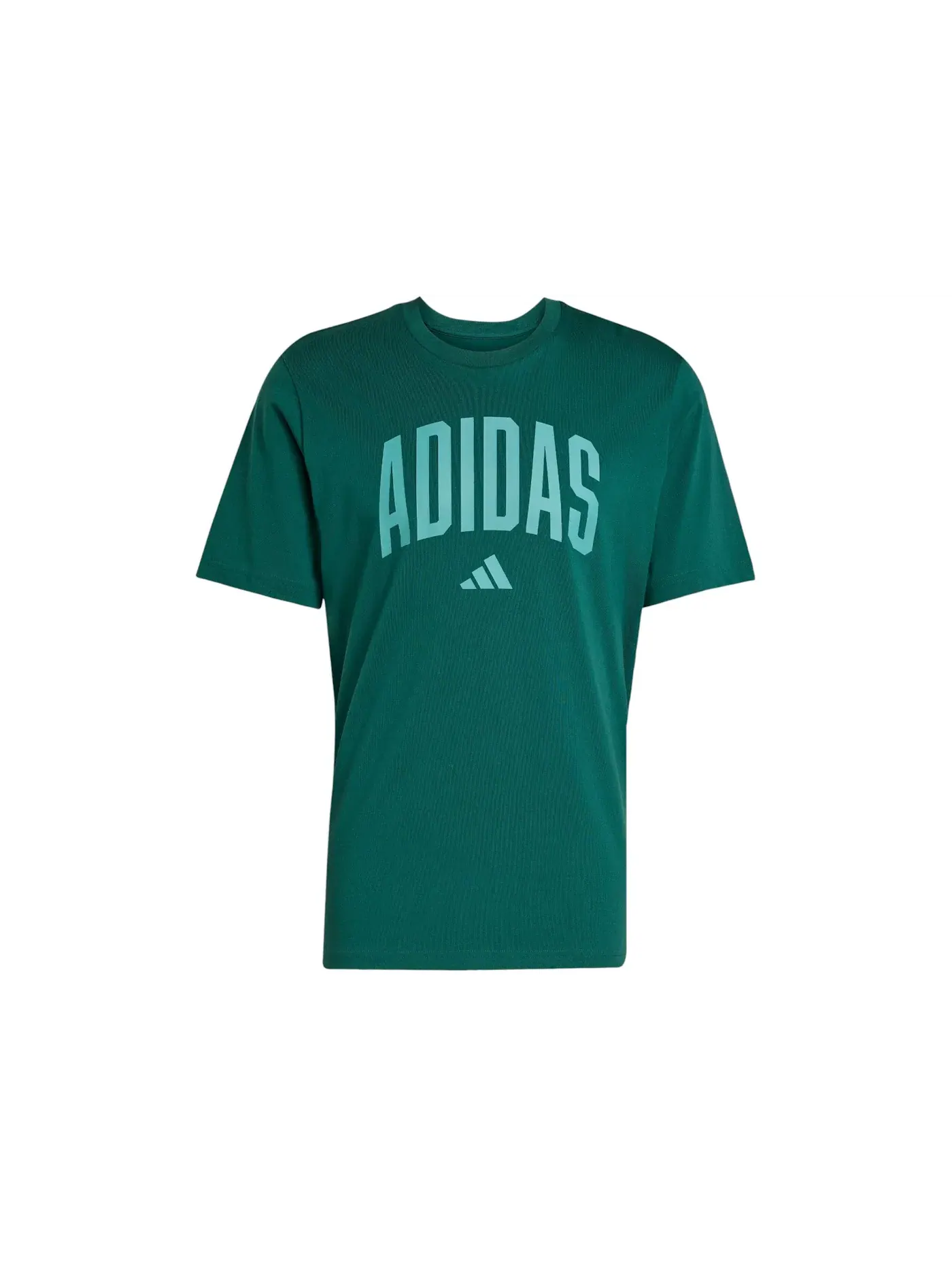 Мужская футболка с принтом Adidas — изображение 1 из 1, зеленый