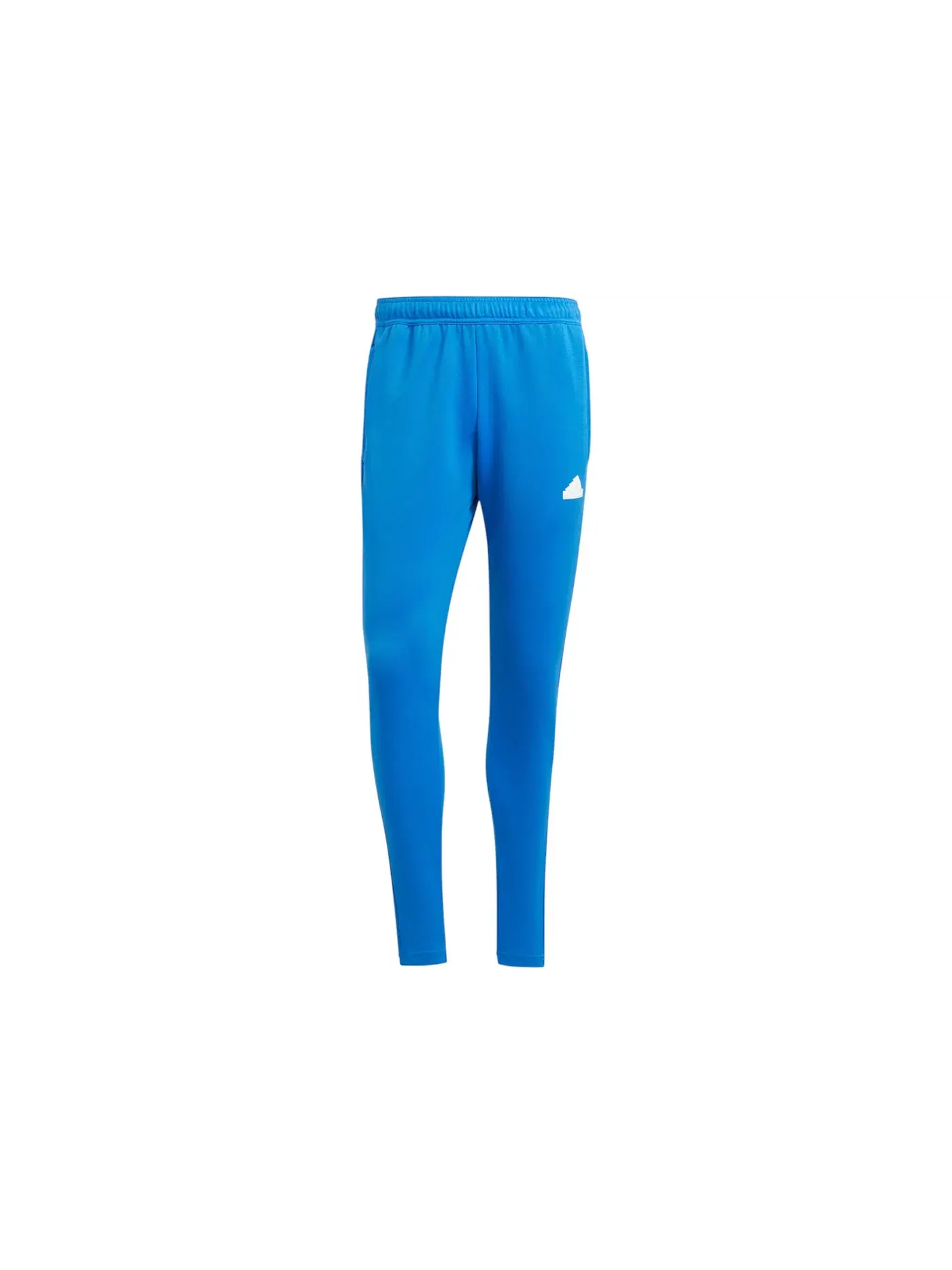 Мужские спортивные брюки с принтом Pant Adidas — изображение 1 из 1