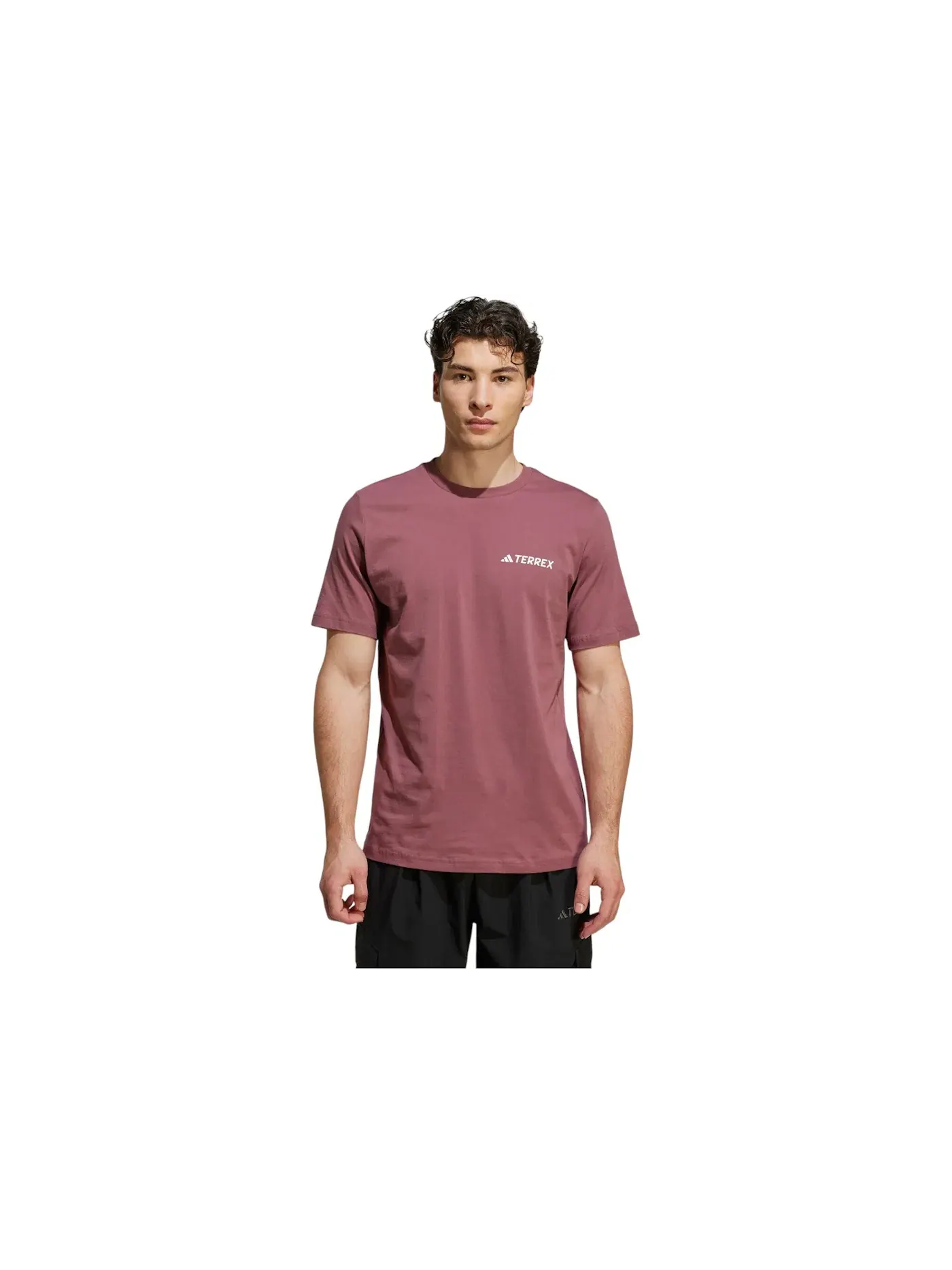 Мужская футболка с принтом Adidas Terrex Graphic T-Shirt Adidas — изображение 1 из 1, бордовый