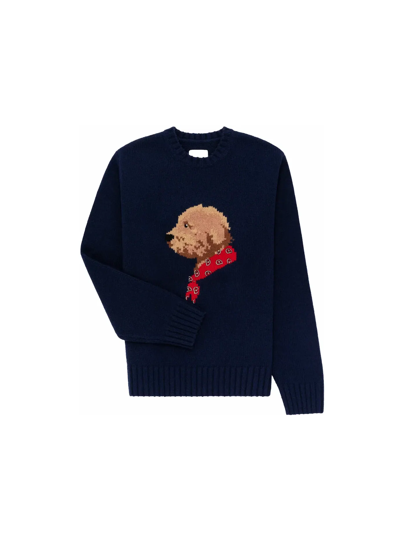 Мужской свитшот с вязаным узором Aime Leon Dore Collegiate Buddy Knit Sweater — изображение 1 из 2, синий