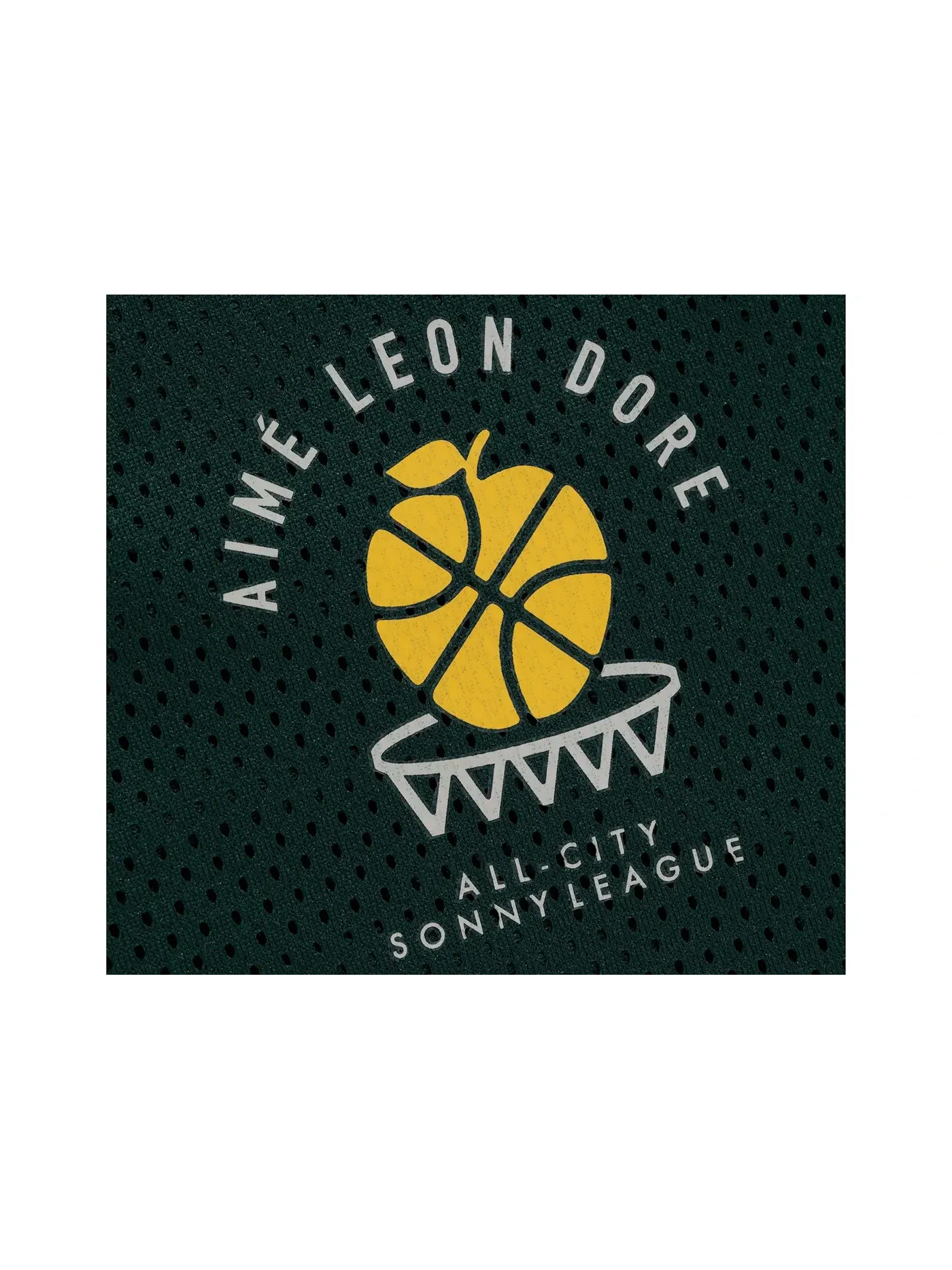 Мужские шорты Aime Leon Dore x New Balance SONNY League Gym — изображение 2 из 2, зеленый