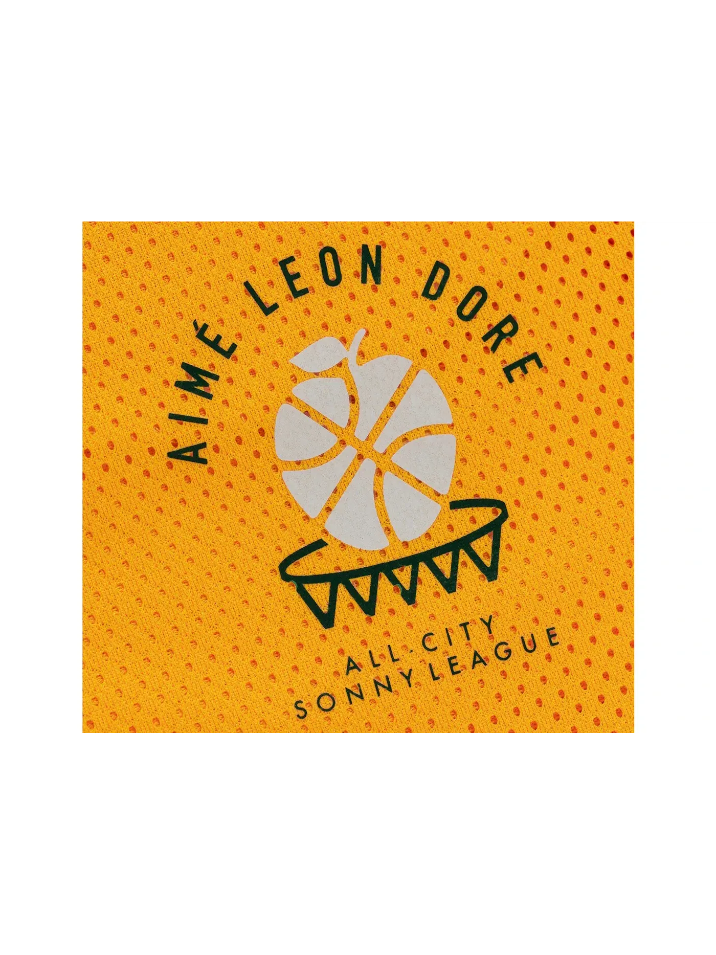 Мужские шорты с логотипом SONNY League Gym Aime Leon Dore — изображение 2 из 2, желтый
