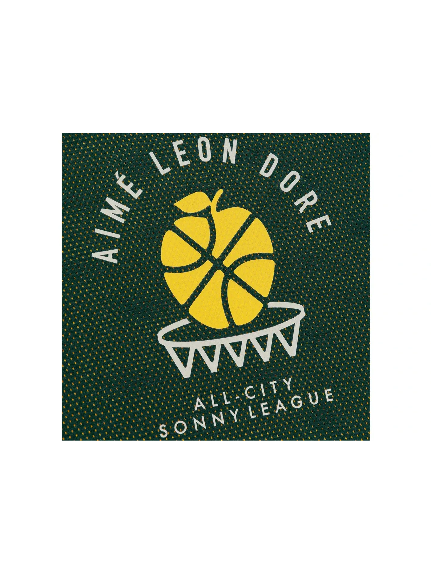 Мужская джерси Aime Leon Dore x New Balance SONNY League Reversible Jersey — изображение 3 из 3, зеленый/желтый
