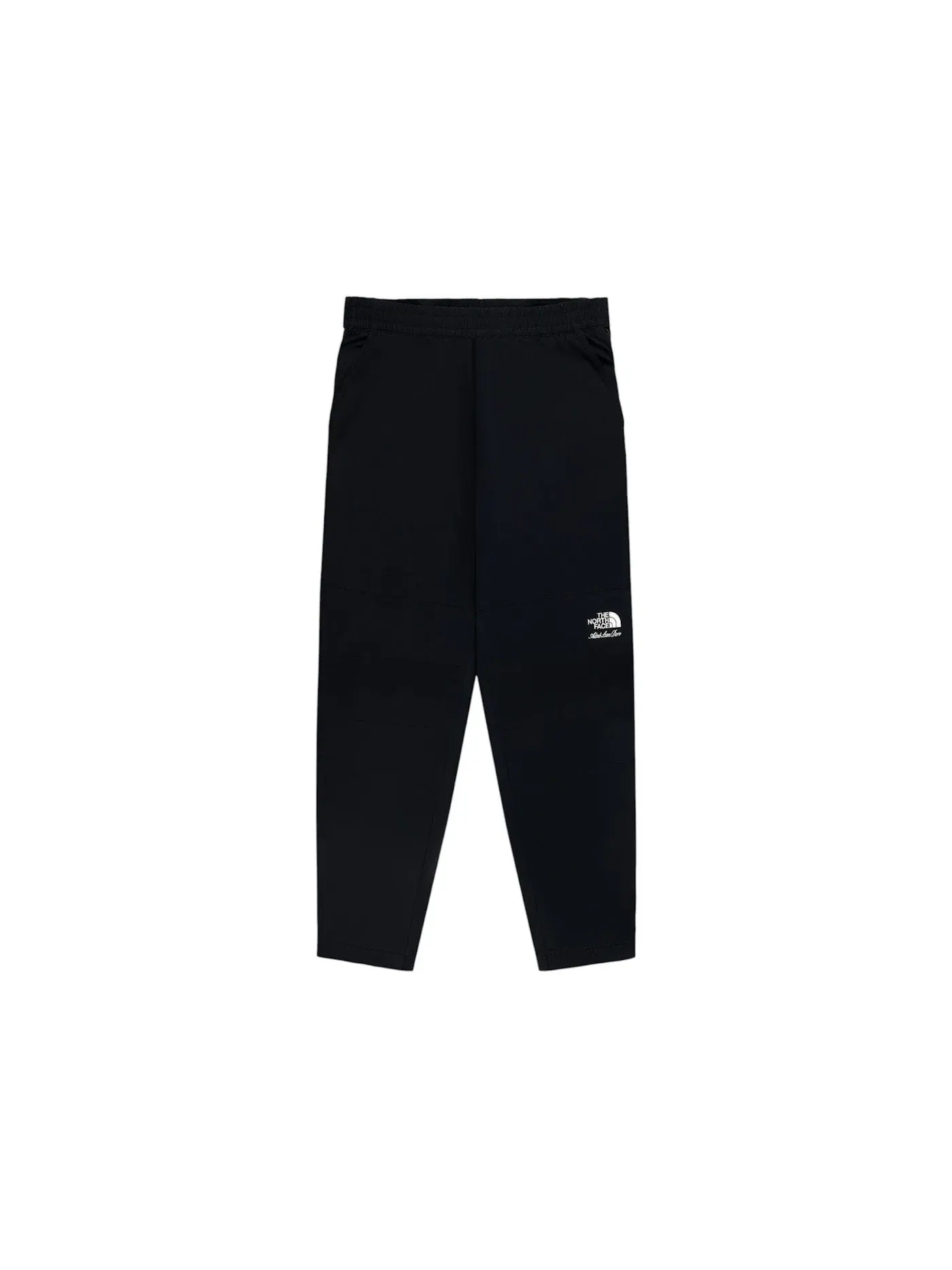 Мужские штаны из нейлона Aime Leon Dore x The North Face Nylon Denali Pant — 1