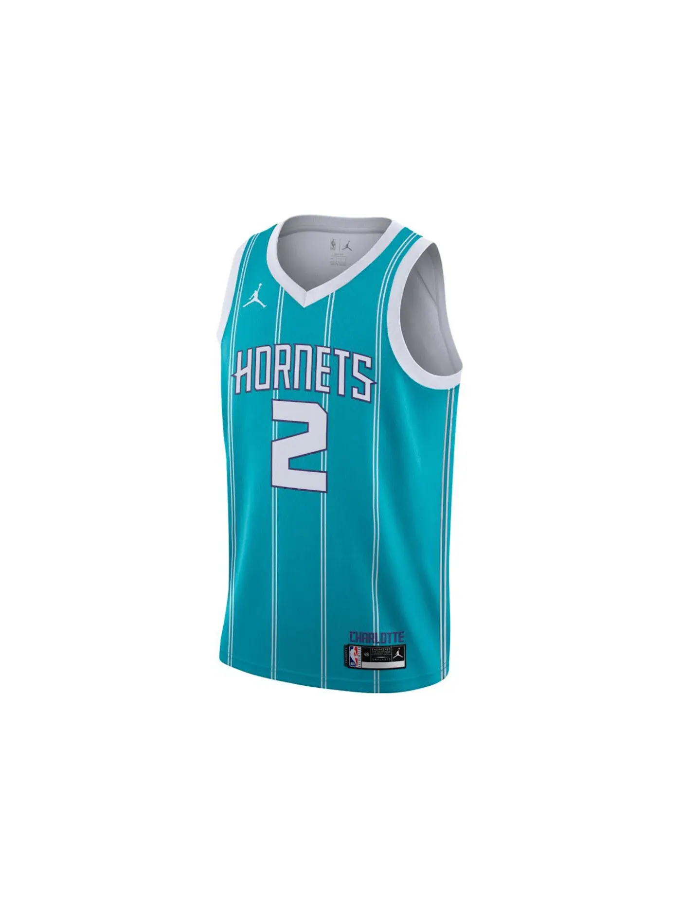 Мужская джерси Air Jordan Lamelo Ball Hornets Icon Edition 2022 Swingman NBA Jersey Jordan — изображение 1 из 2, коричневый