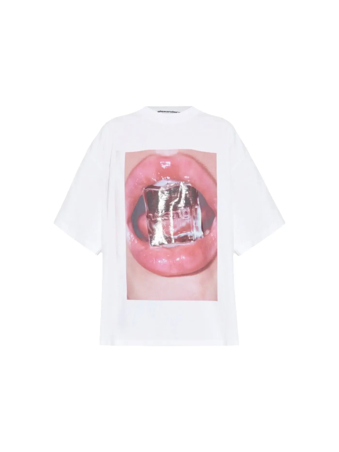 Футболка с принтом Alexander Wang Tee — изображение 1 из 1, винтажный белый
