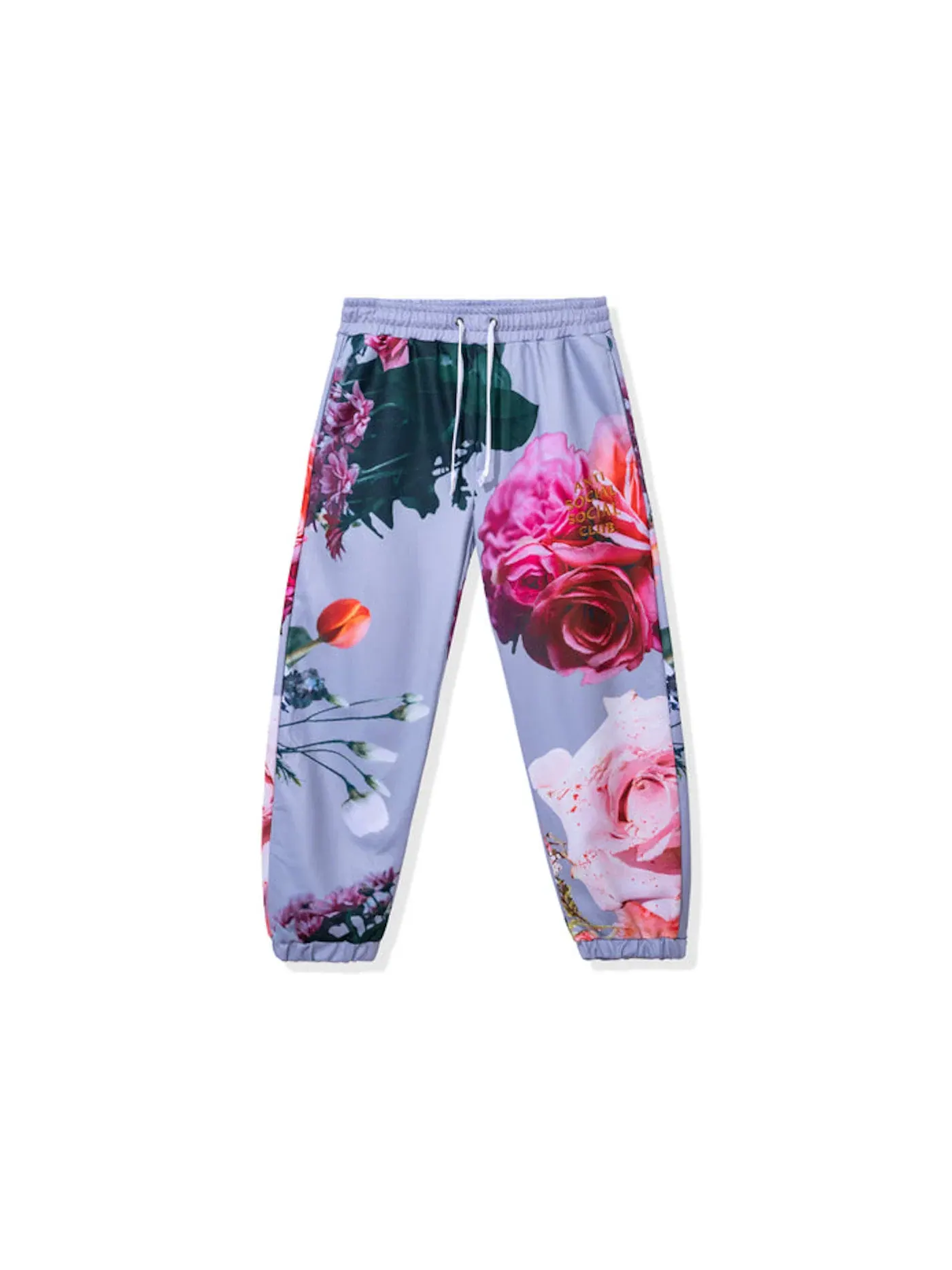 Мужские спортивные штаны I Never Promised Sweatpants Anti Social Social Club — изображение 1 из 2, серый