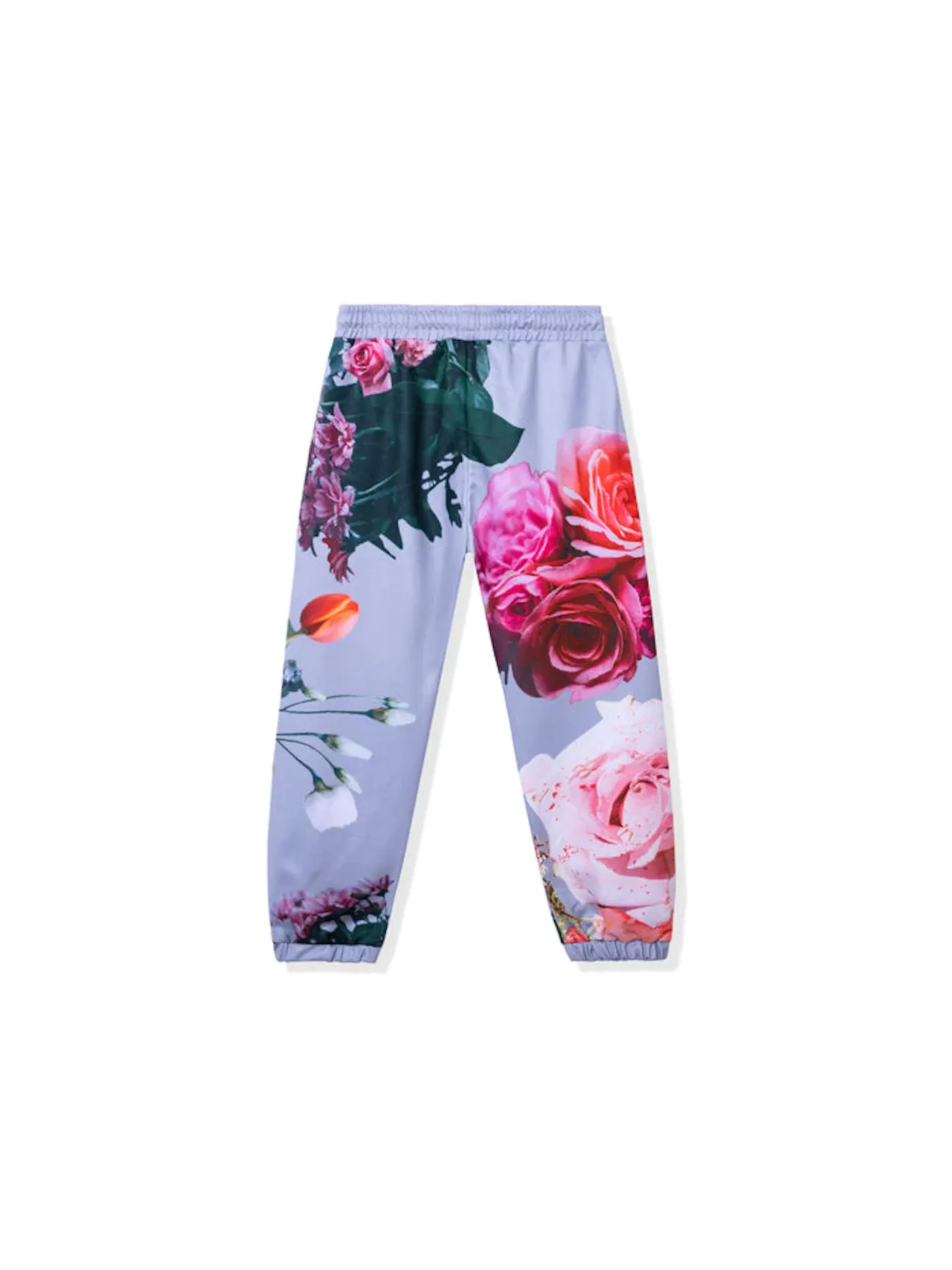 Мужские спортивные штаны I Never Promised Sweatpants Anti Social Social Club — изображение 2 из 2, серый