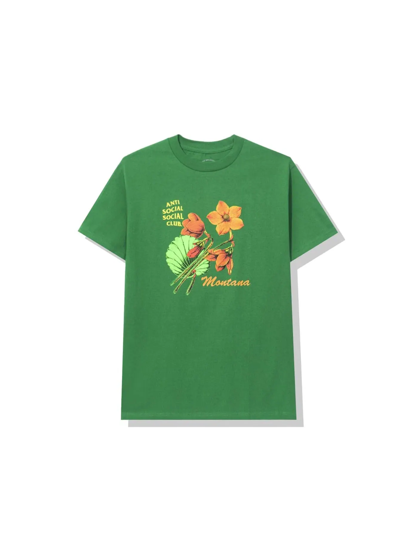 Мужская футболка с принтом Anti Social Social Club Tee — изображение 1 из 2, зеленый