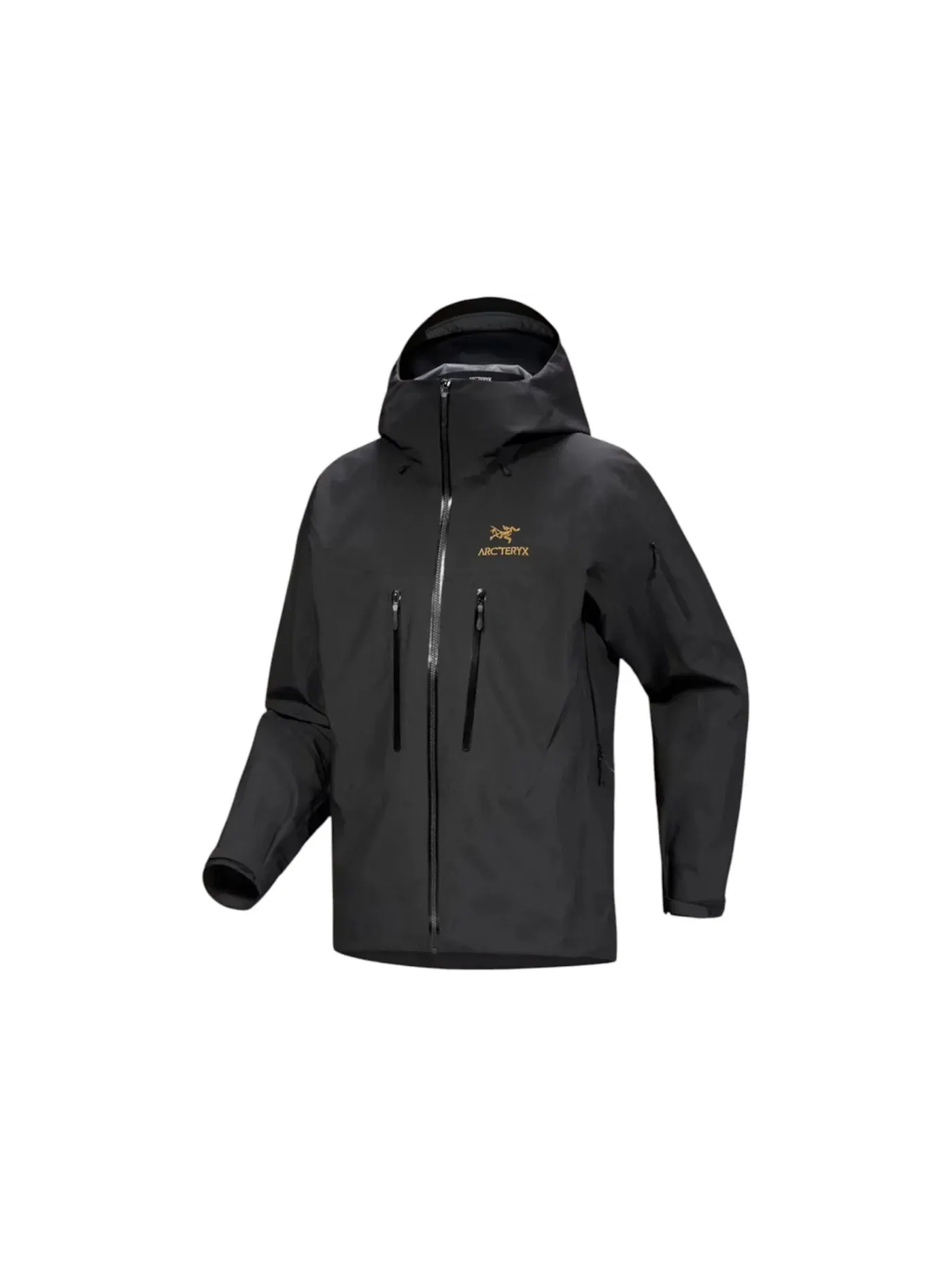 Мужская куртка с капюшоном Arc'teryx Alpha SV FW25 — изображение 1 из 2, черный