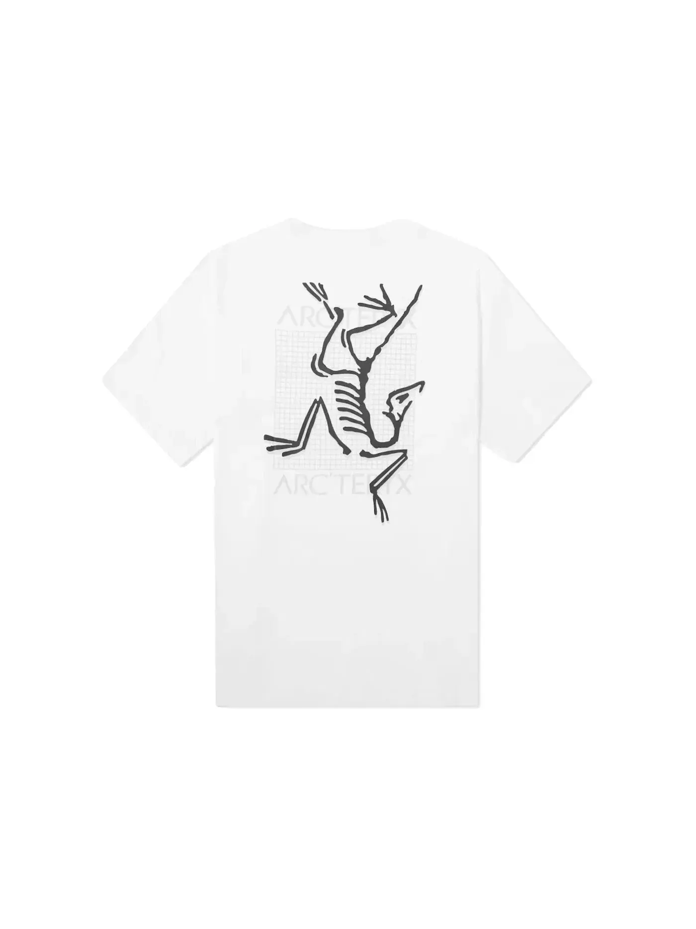Мужская футболка с принтом Arc'teryx Arc'multi Bird Logo T-shirt — изображение 1 из 1, белый