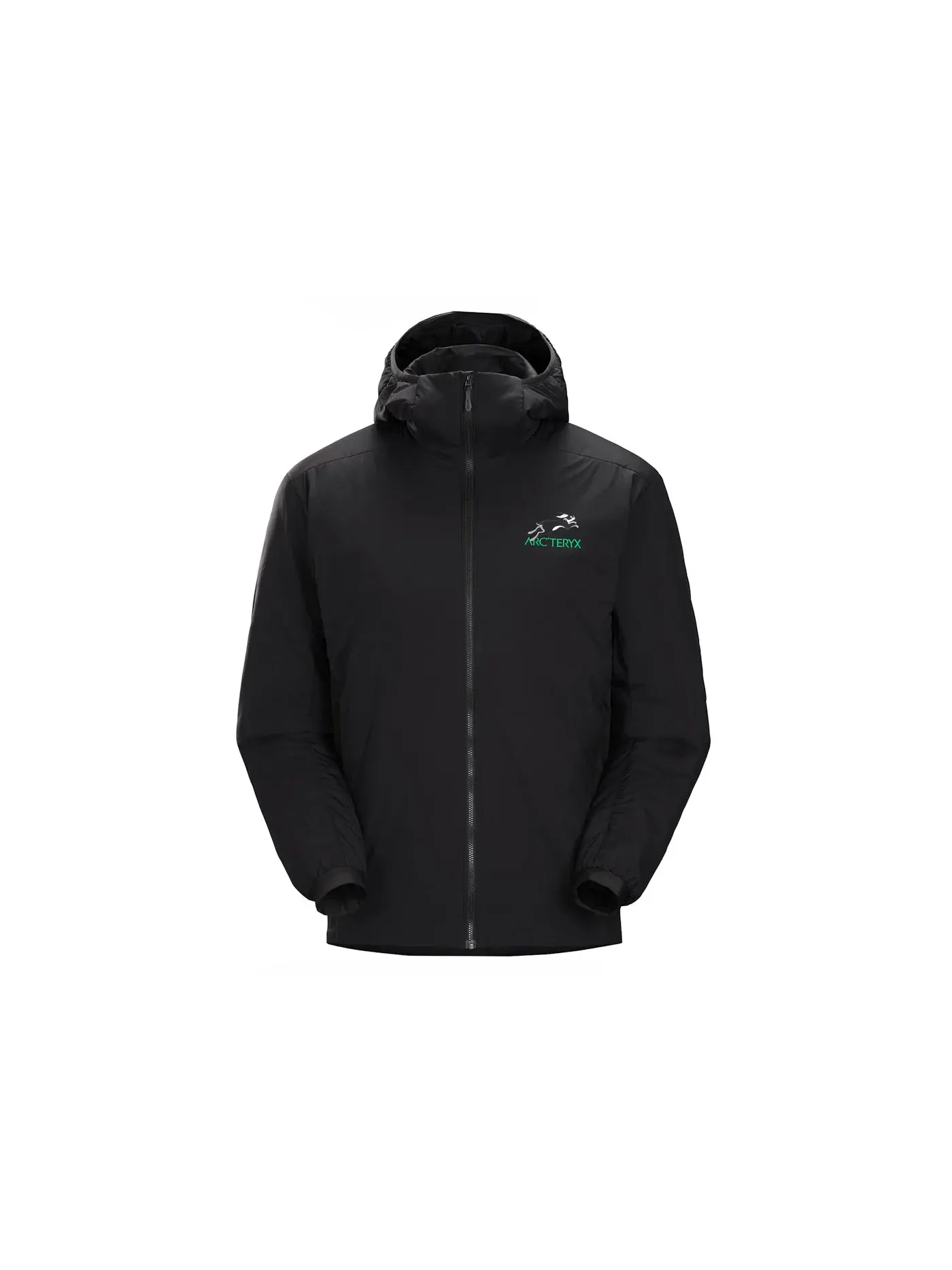 Мужская худи с принтом Arc'teryx, LNY 2023 — изображение 1 из 2
