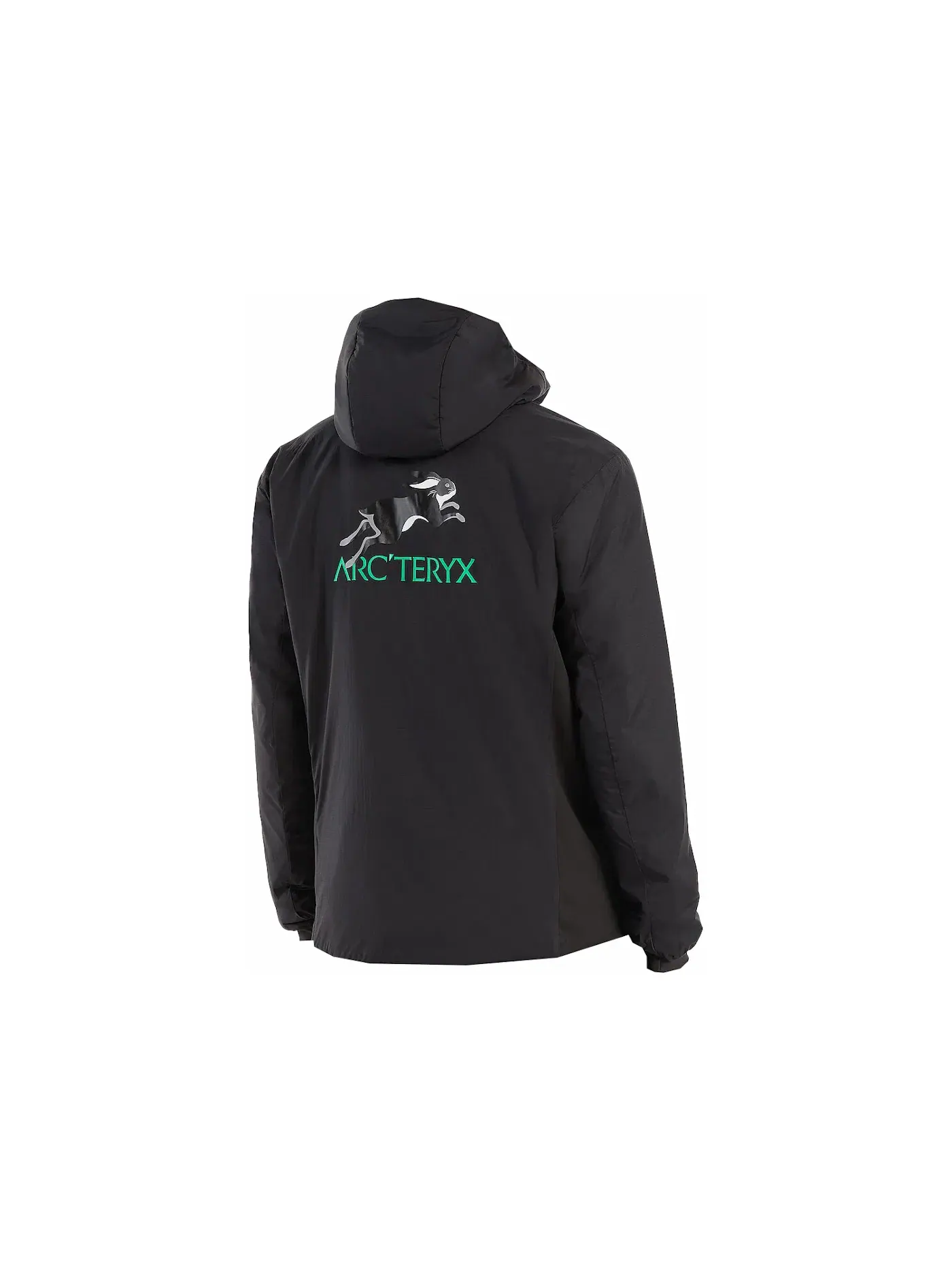 Мужская худи с принтом Arc'teryx, LNY 2023 — изображение 2 из 2