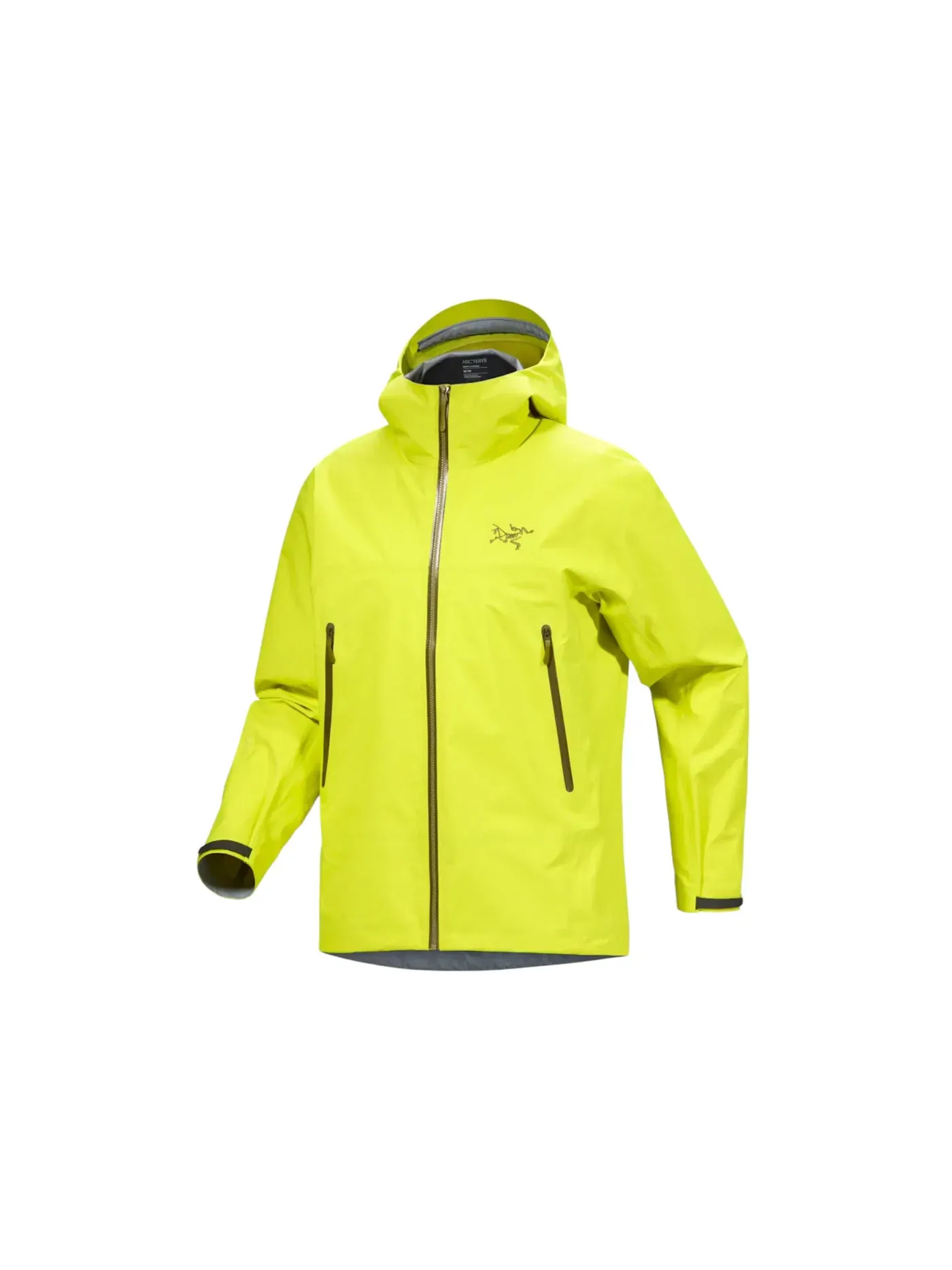 Мужская куртка с принтом Arc'teryx Beta Jacket Euphoria II, Euphoria II — изображение 1 из 1