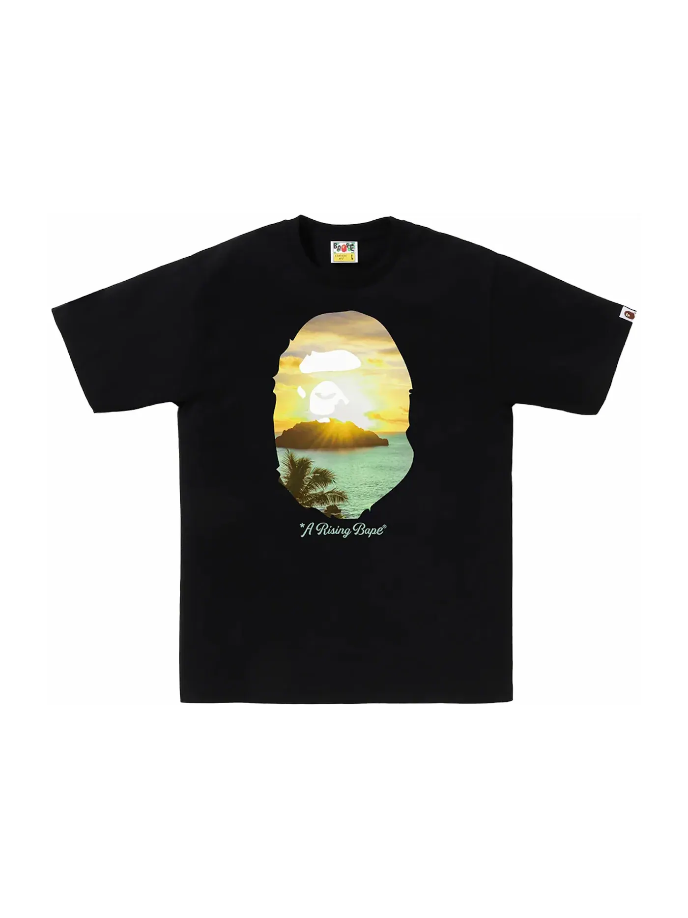 Мужская футболка с принтом BAPE A Rising BAPE Photo Tee BAPE — изображение 1 из 2, черный