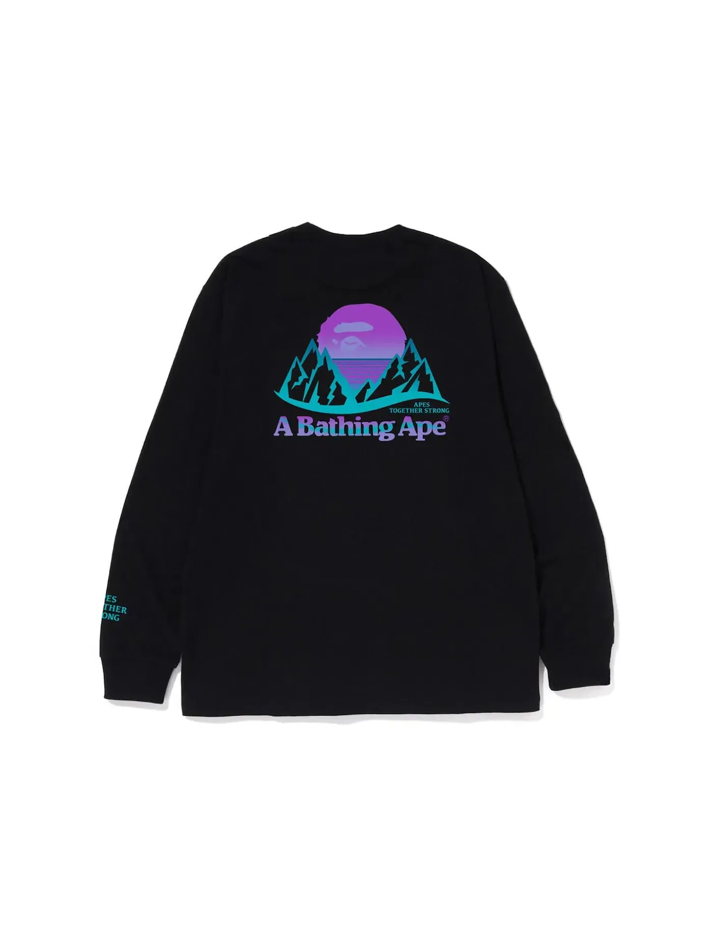 Мужская футболка с длинным рукавом BAPE Mountain L/S Tee BAPE — изображение 1 из 2, черный