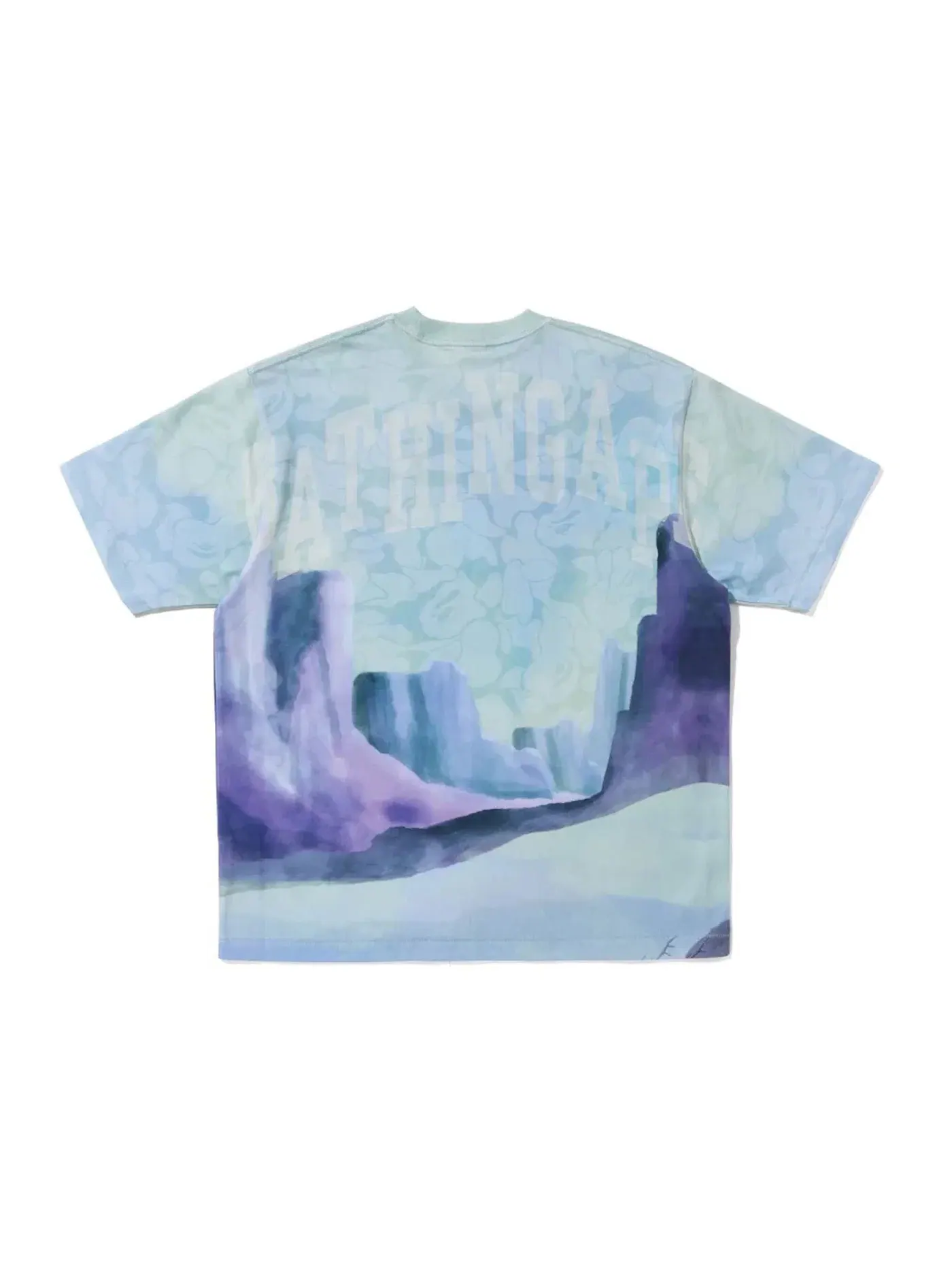 Мужская футболка с принтом BAPE Forbidden Zone Tee — изображение 2 из 2, мульти
