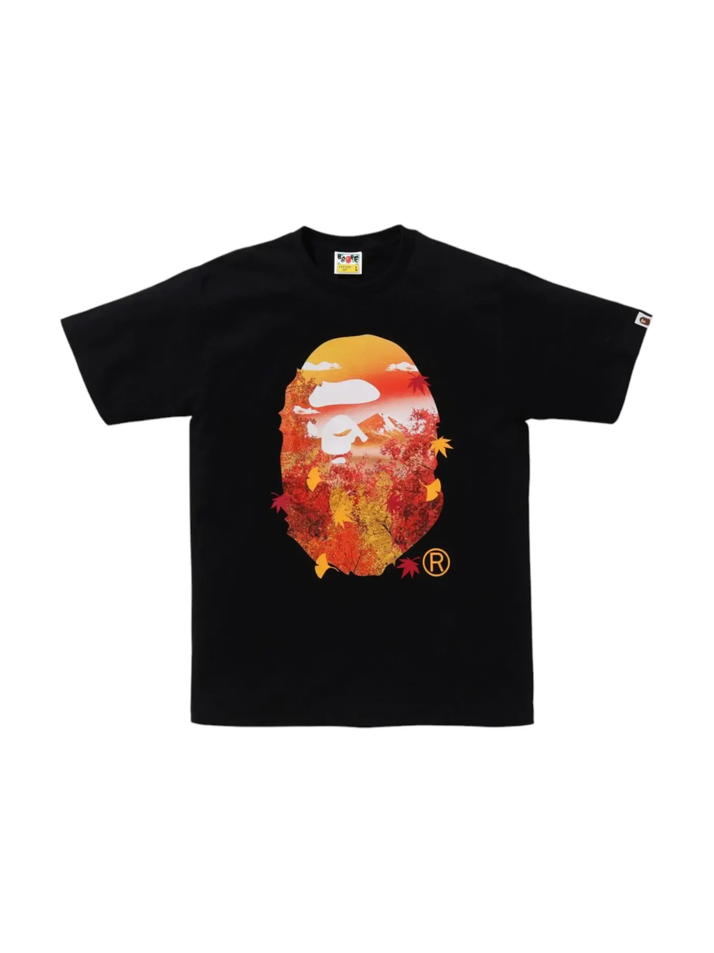 Мужская футболка с принтом Autumn Photo Ape Head BAPE — изображение 1 из 1, черный
