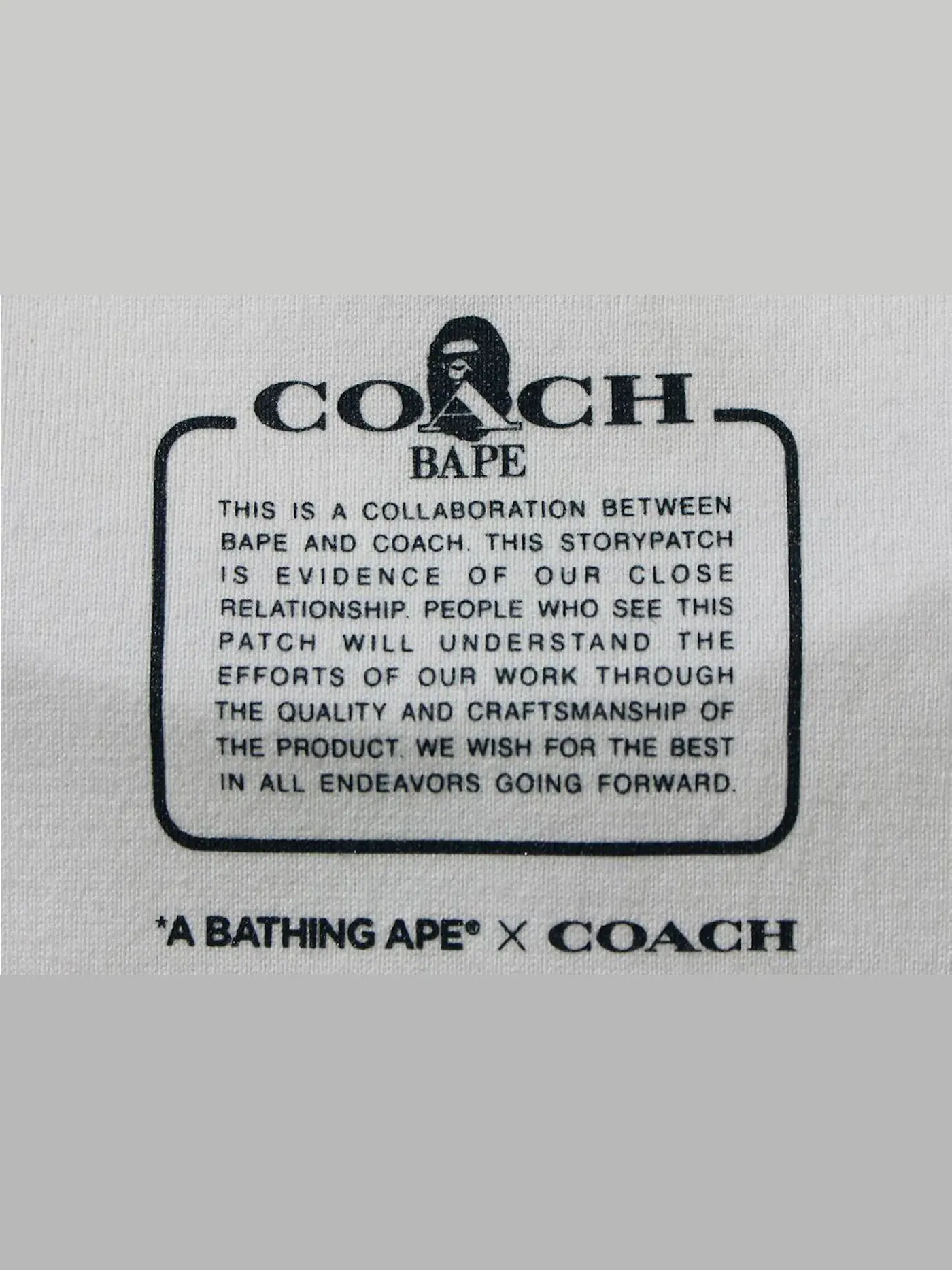 Мужская футболка с принтом BAPE x Coach College Tee BAPE — изображение 3 из 3, белый